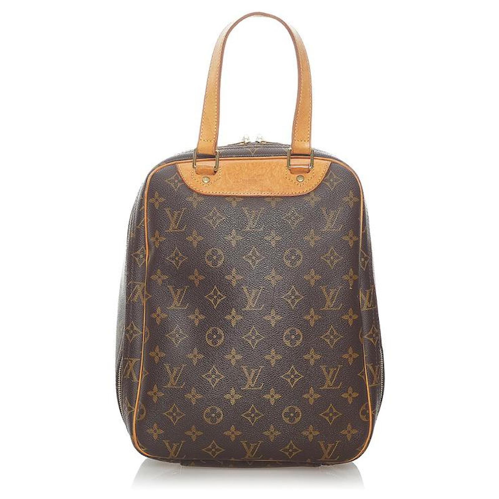 Louis Vuitton Shoe Pouch