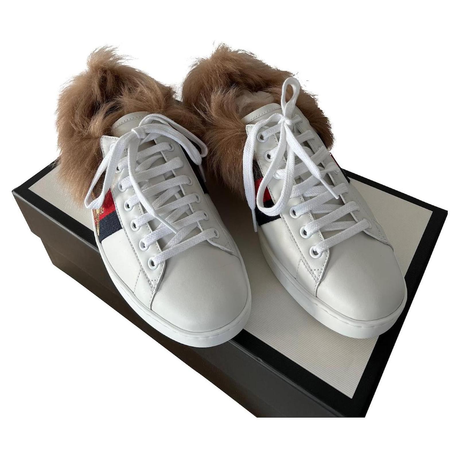 Ungdom Monica Advarsel Gucci ace fur White Leather ref.736589 - Joli Closet