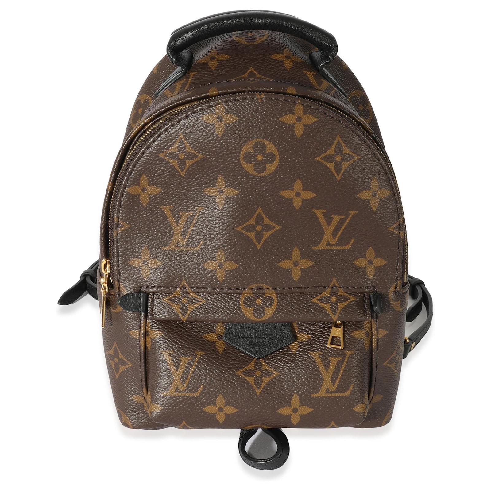 Louis Vuitton Monogram Palm Spring Backpack Mini M44873 s Sd2156 Brown