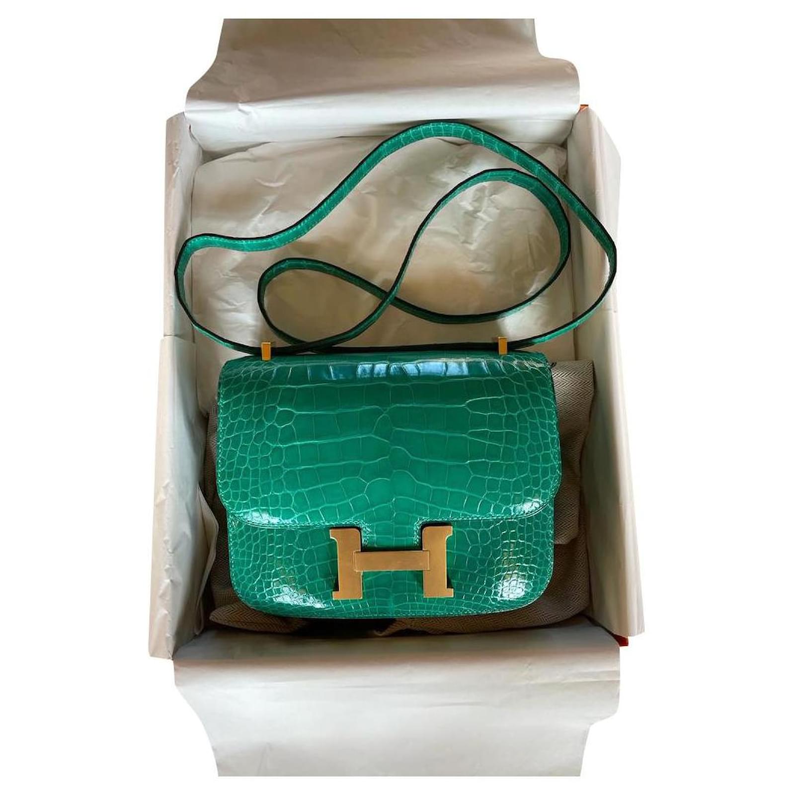 Hermès Mini constance croco shiny vert jade or Green Exotic