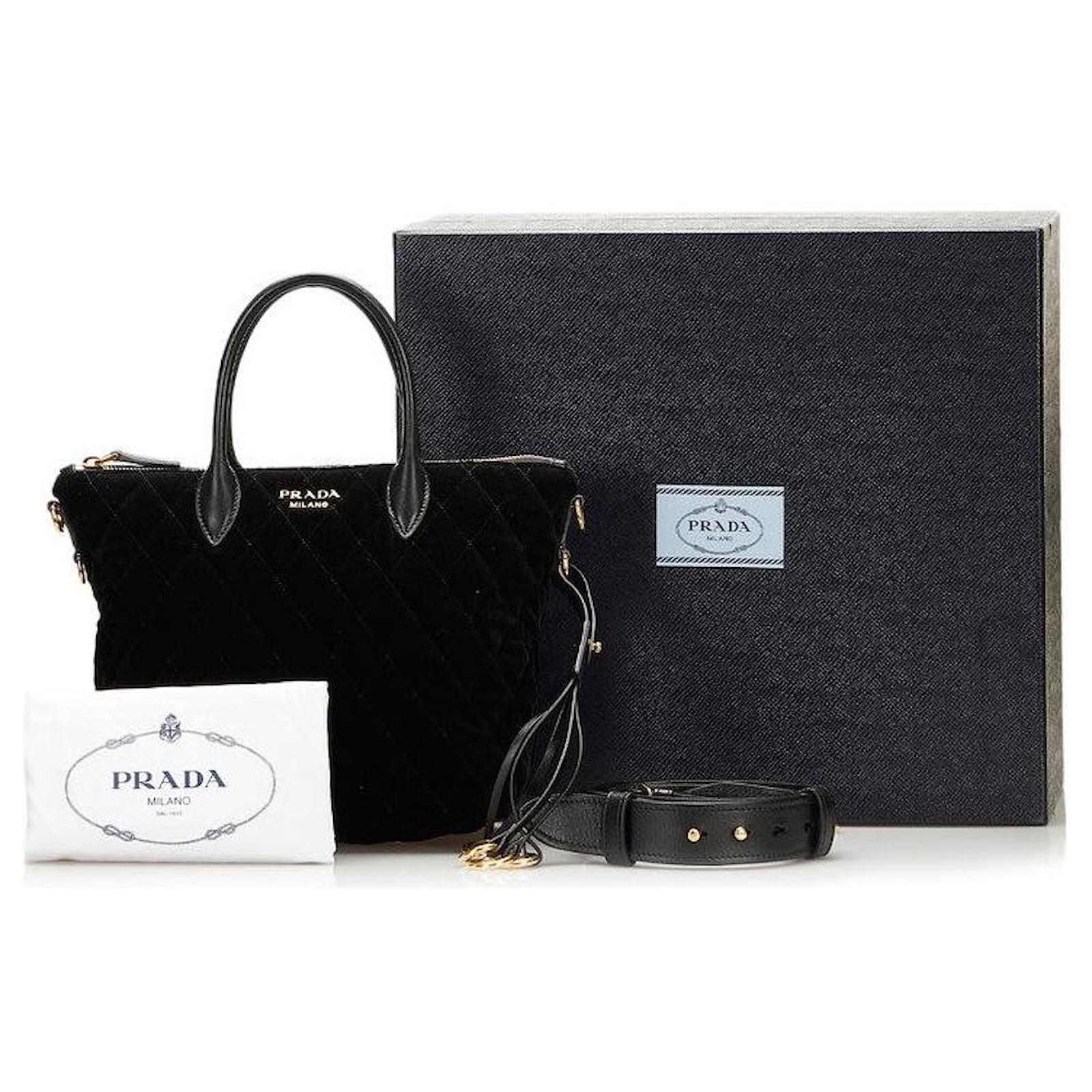 Prada '97 Velluto Fibbie (Velvet) Frame Bag