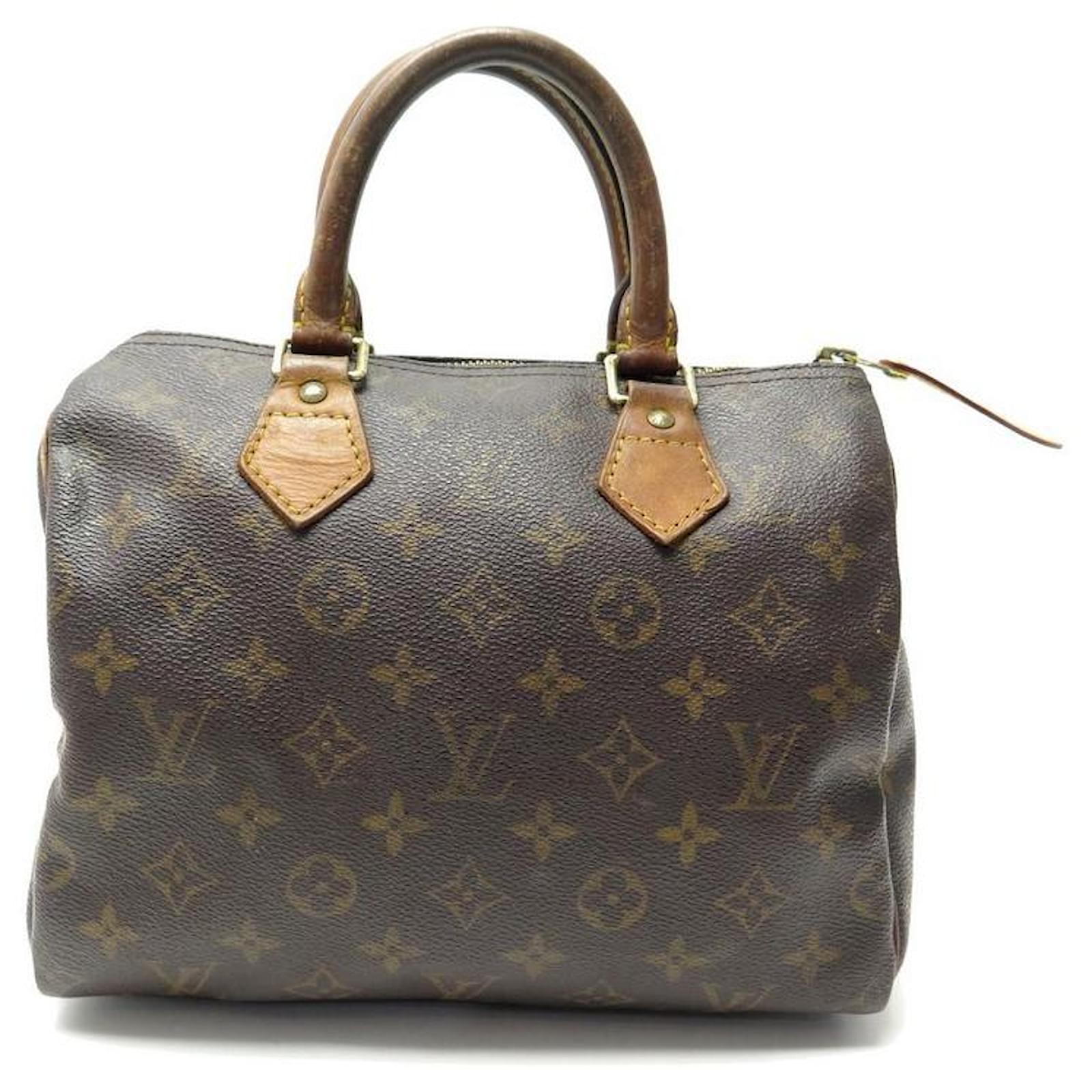 Speedy cloth handbag Louis Vuitton Multicolour in Cloth - 29007232