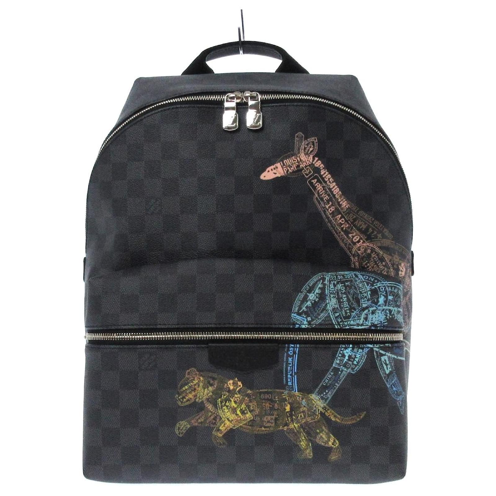 louis vuitton discovery backpack organizer