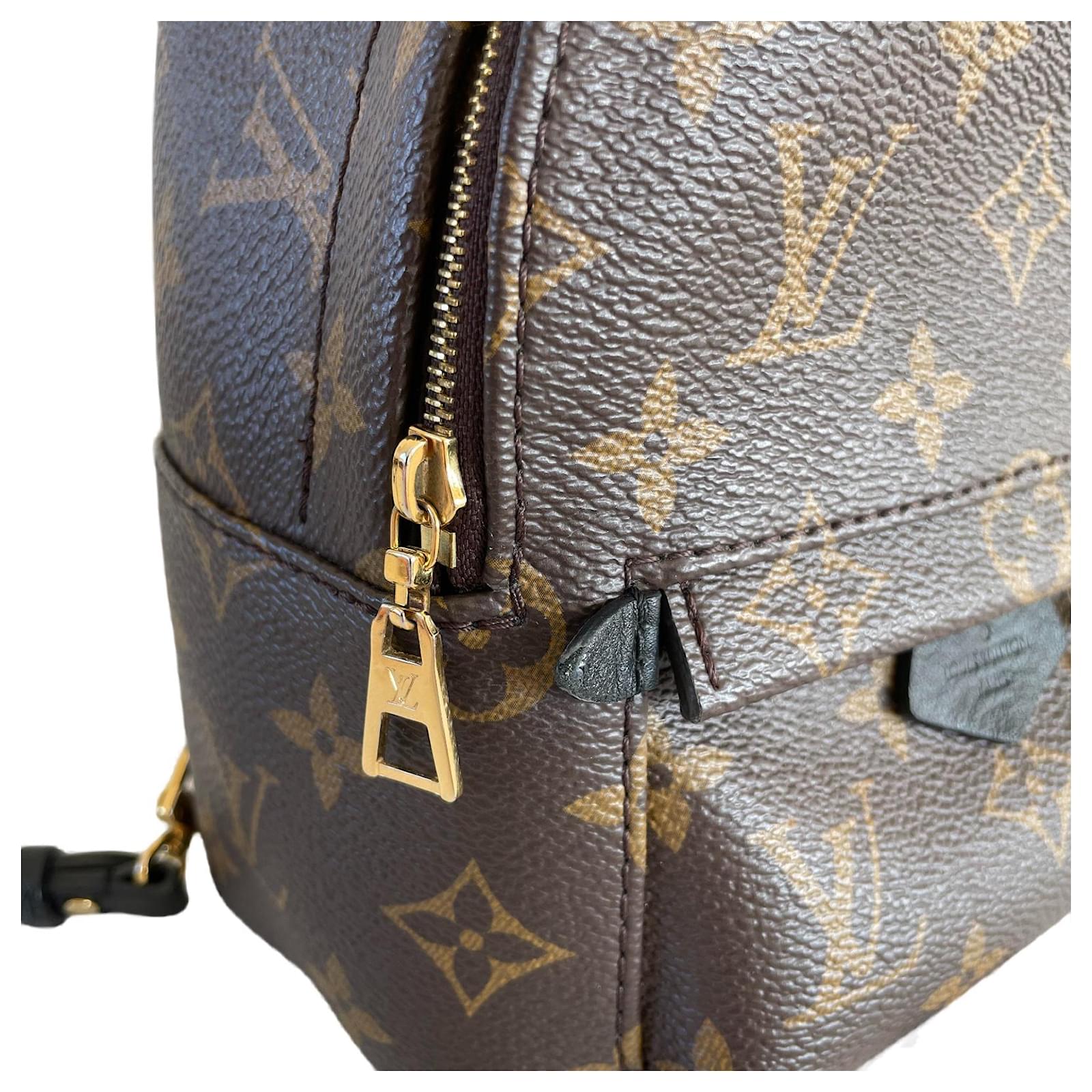 Louis Vuitton Palm springs mini backpack rug sack monogram Brown