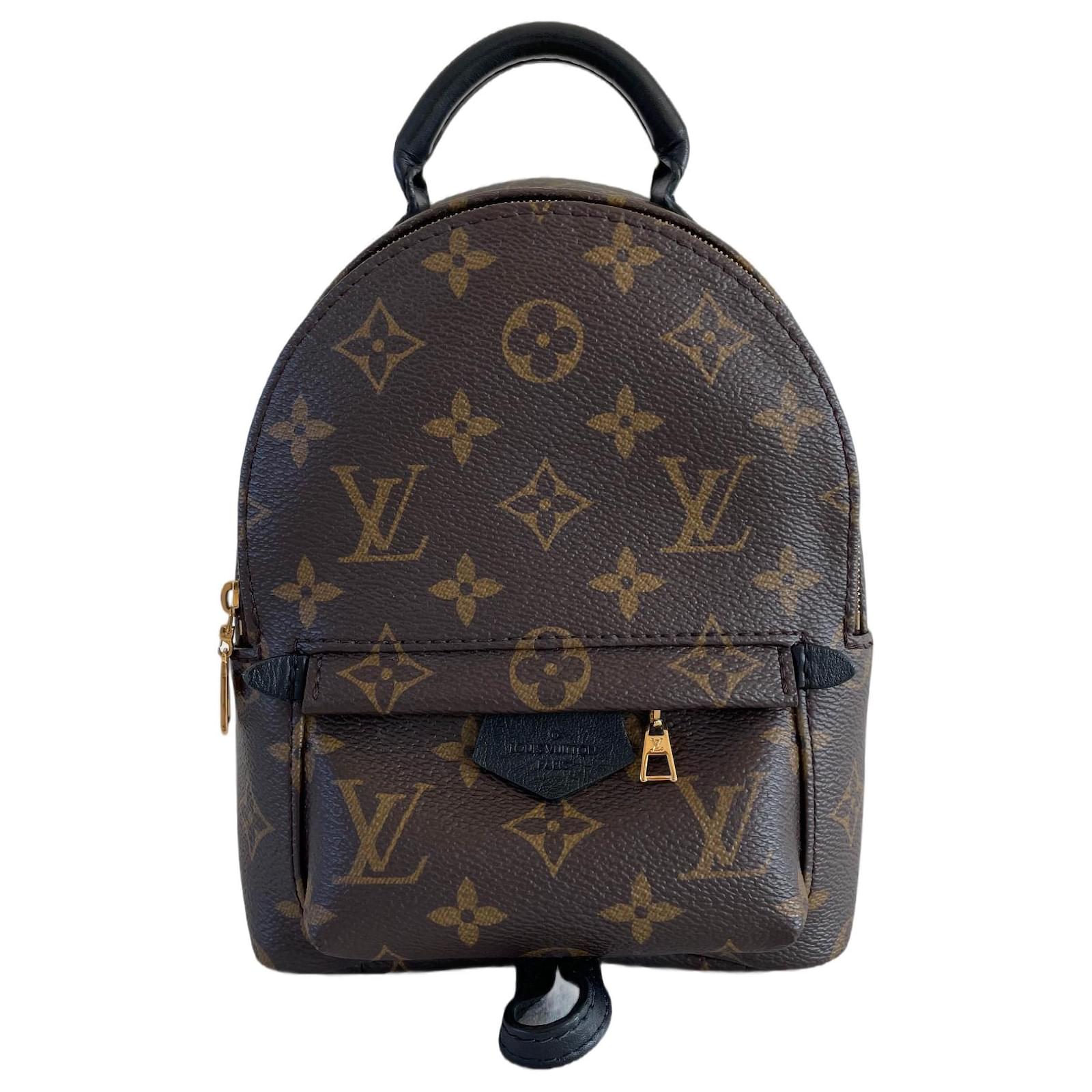 Louis Vuitton Palm springs mini backpack rug sack monogram Brown Black Dark  brown Leather Cloth ref.787665 - Joli Closet
