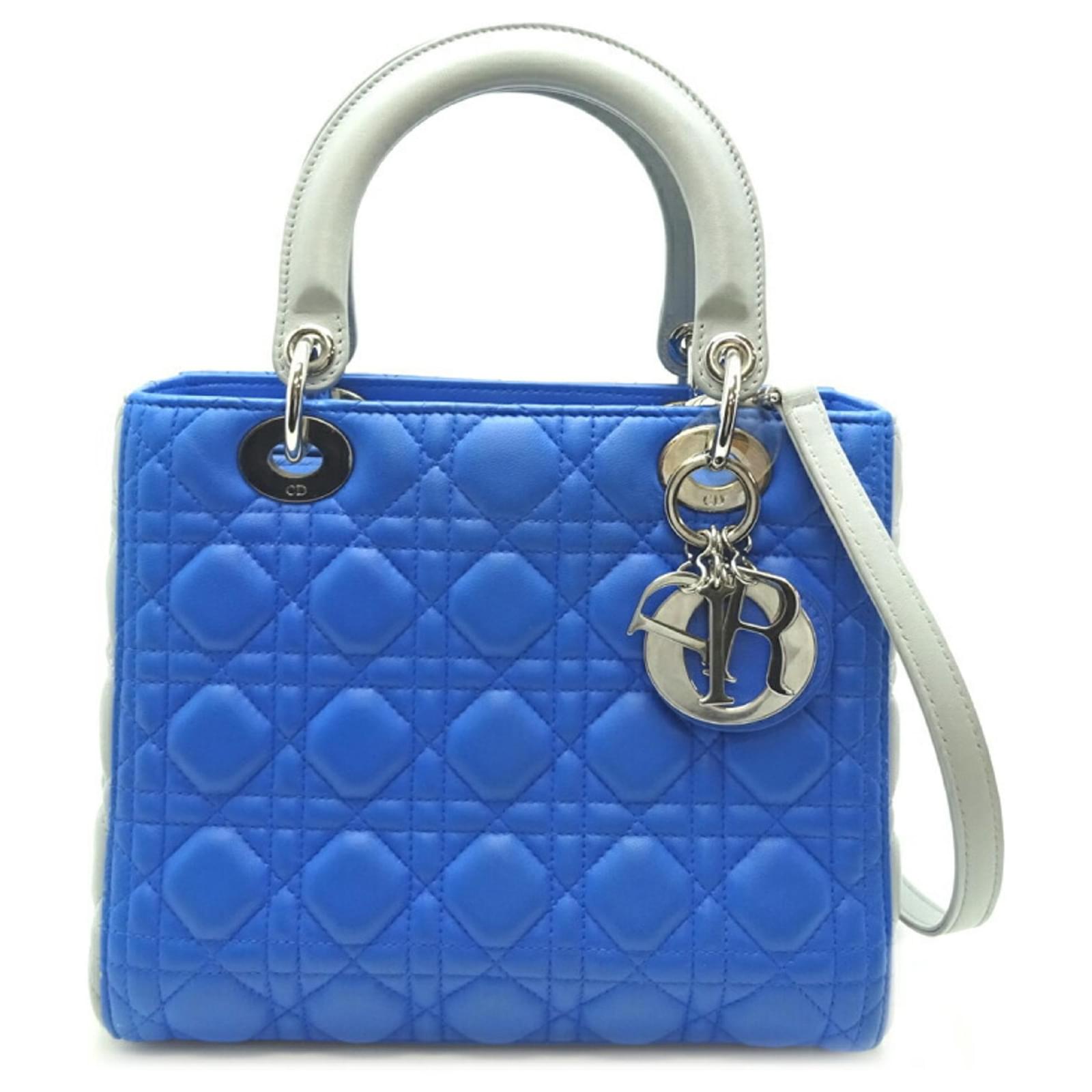 Dior Lady Dior Multiple colors Leather ref.802305 - Joli Closet