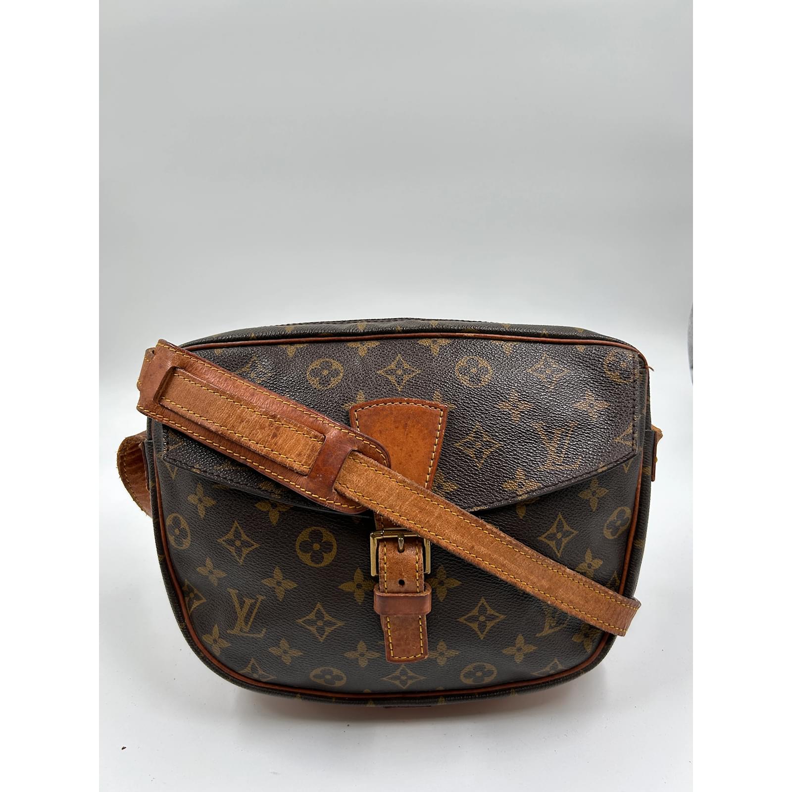Coated Canvas Louis Vuitton Jeune Fille MM Brown Leather ref.816039 - Joli  Closet