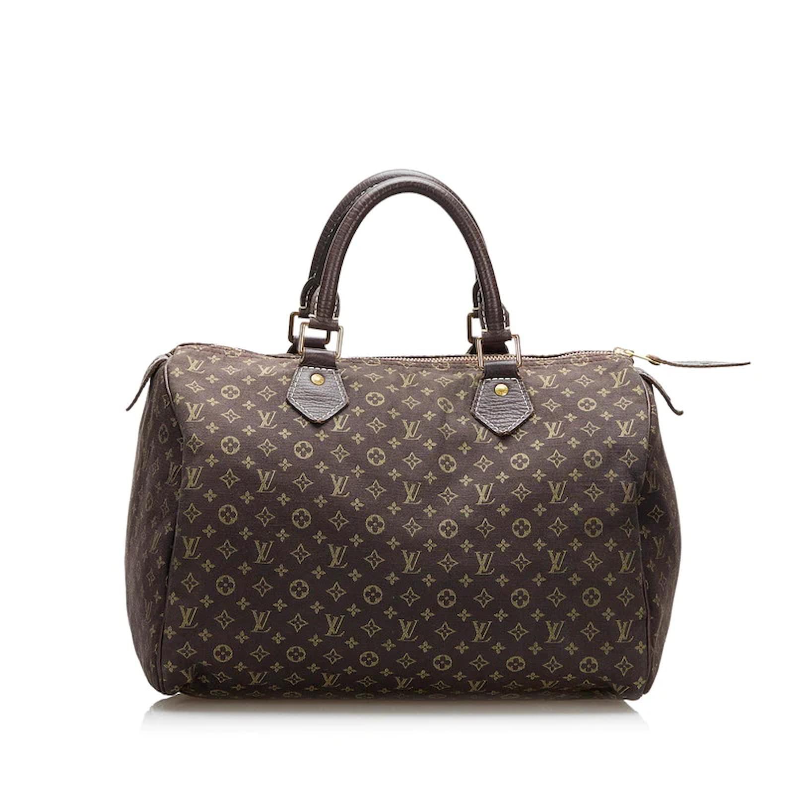 Louis Vuitton 'Mini Lin Speedy 30' Bag