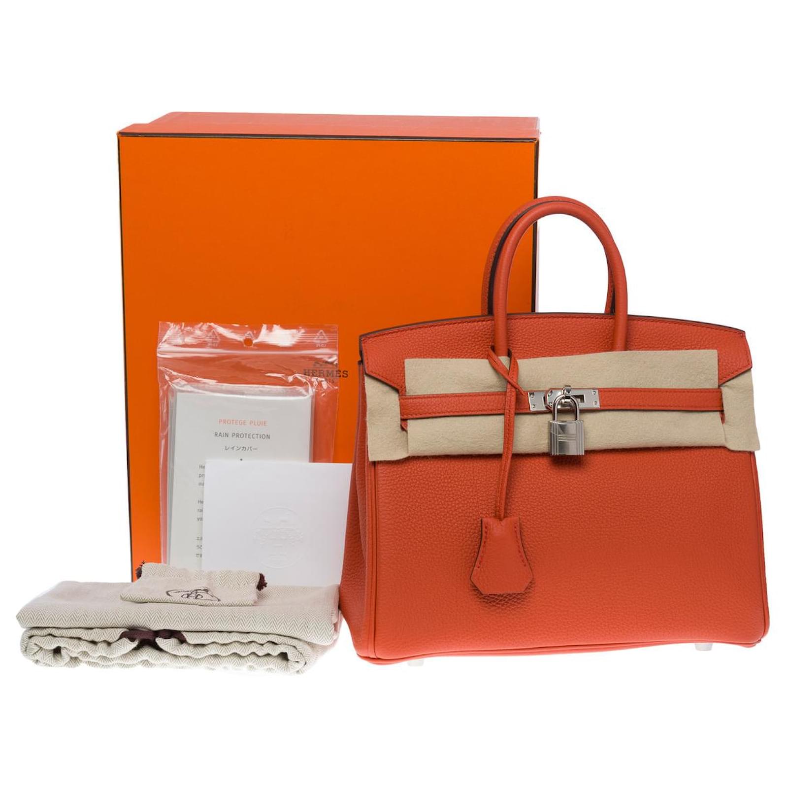 Hermès Birkin handbag 25 back in togo clay/red -101050 Orange Leather  ref.855336 - Joli Closet