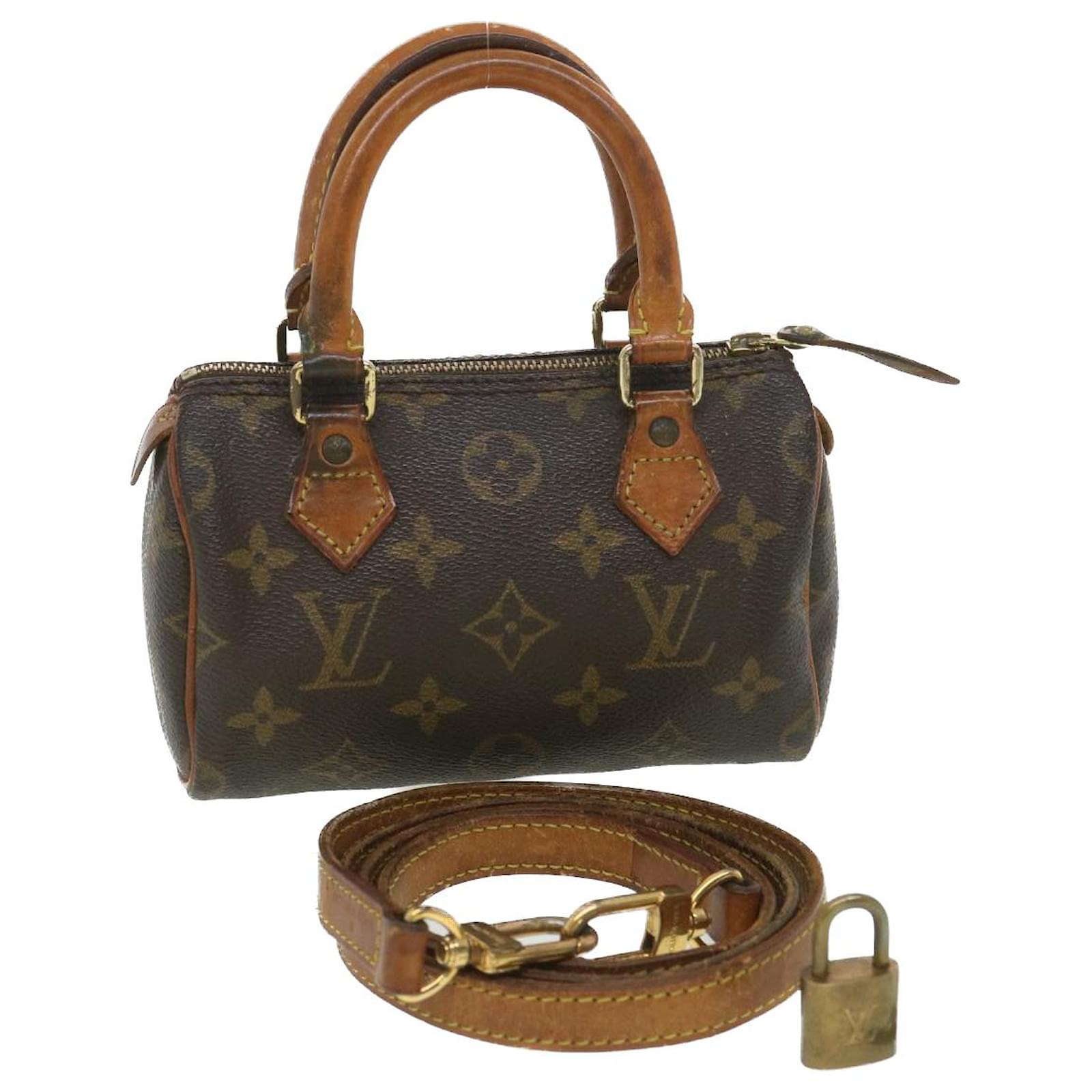 Louis Vuitton mini speedy  Bags, Louis vuitton, Lv handbags