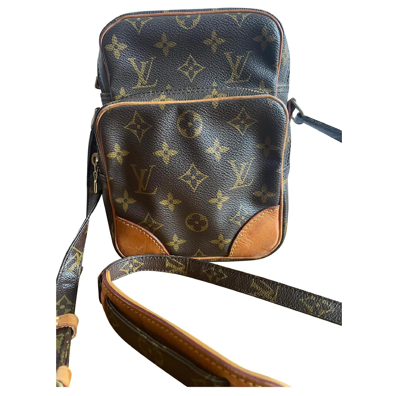 Louis Vuitton LV e monogram canvas Brown Cloth ref.869855