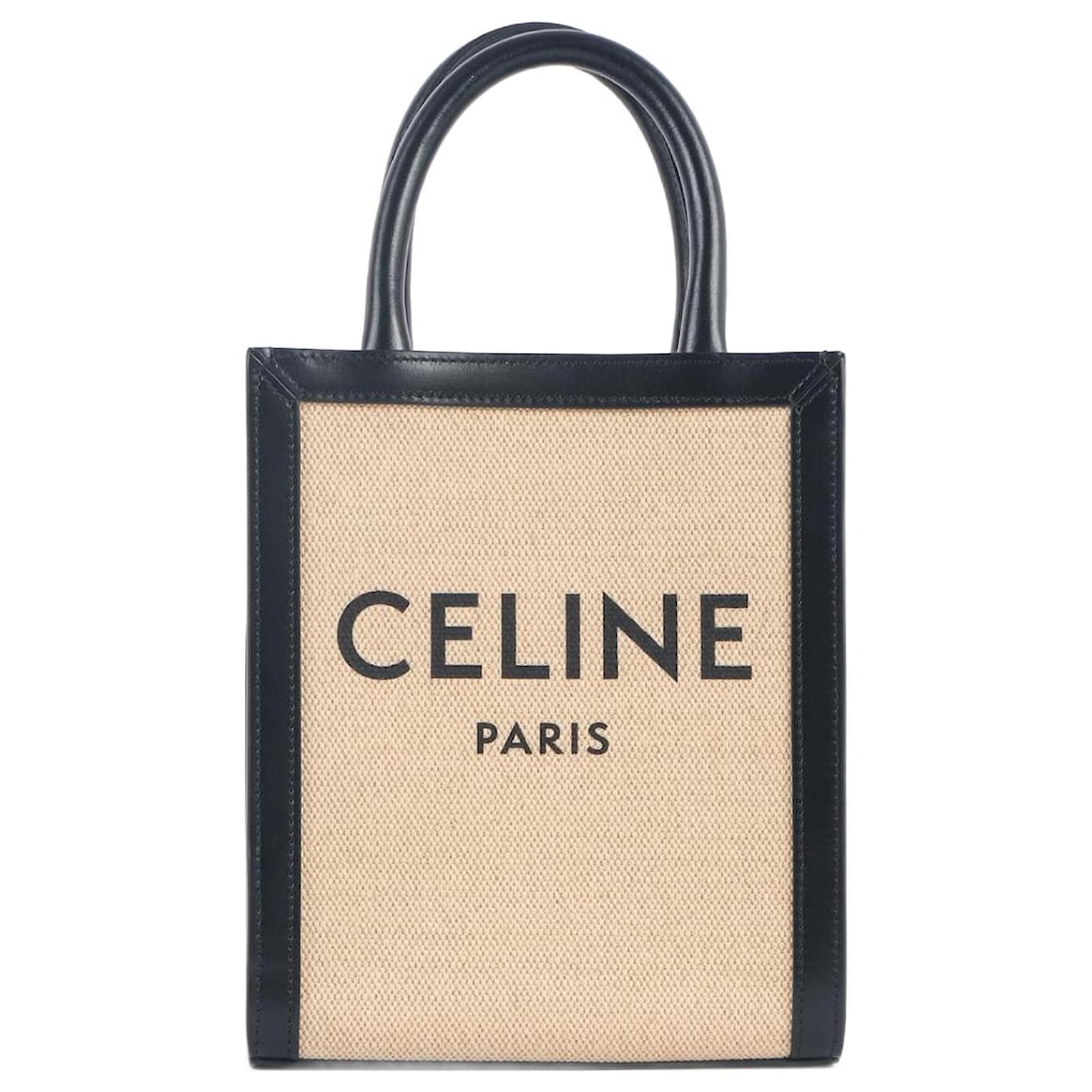 Celine Mini Cabas Vertical in Metallic