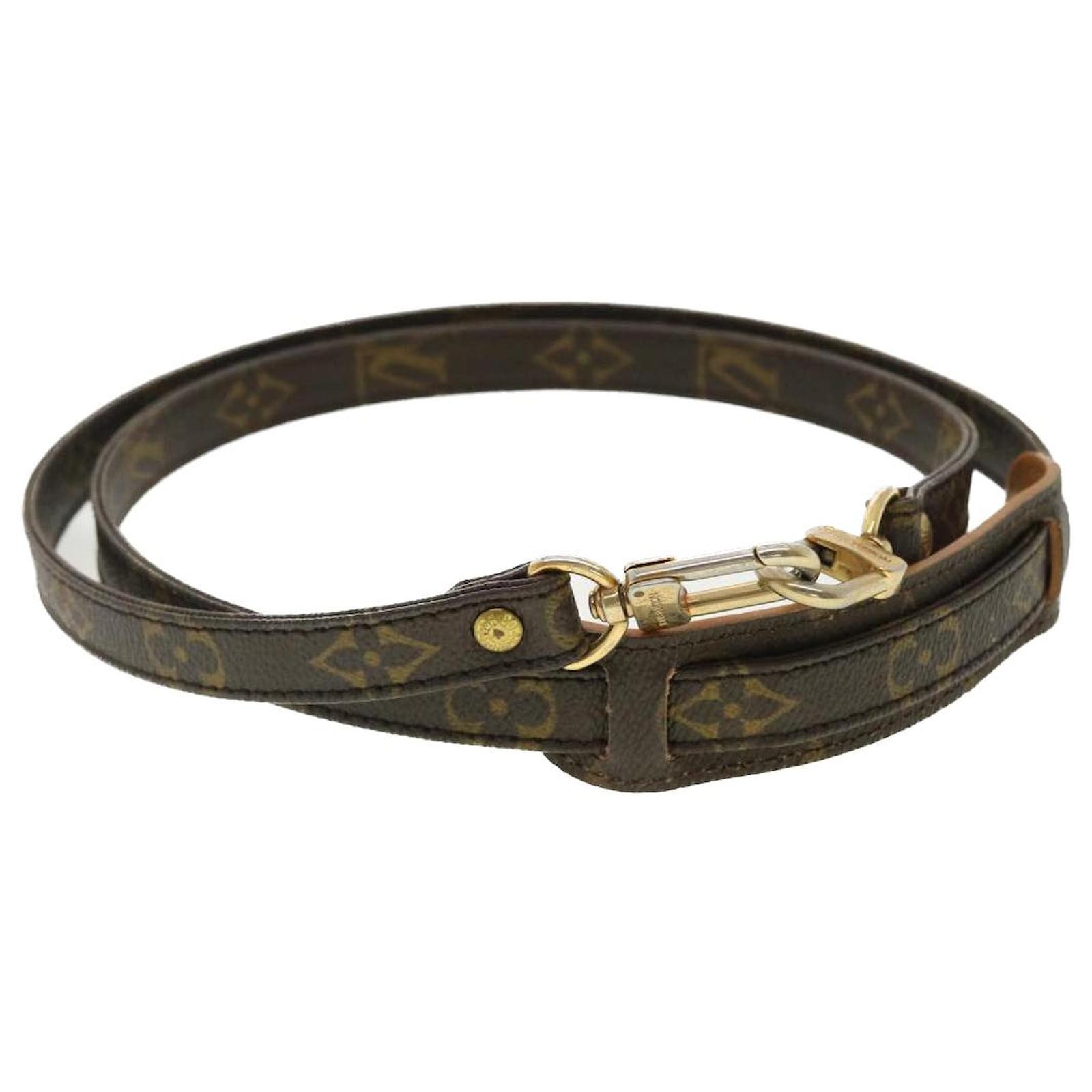 Misc Louis Vuitton LV Strap Monogram