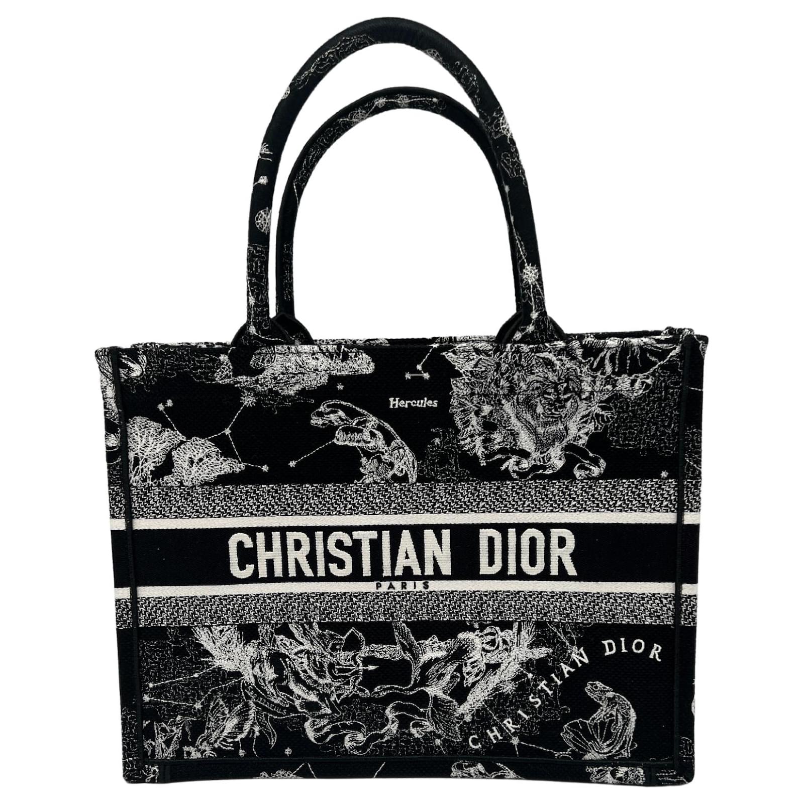 Dior, Bags, Christian Dior Book Tote Medium