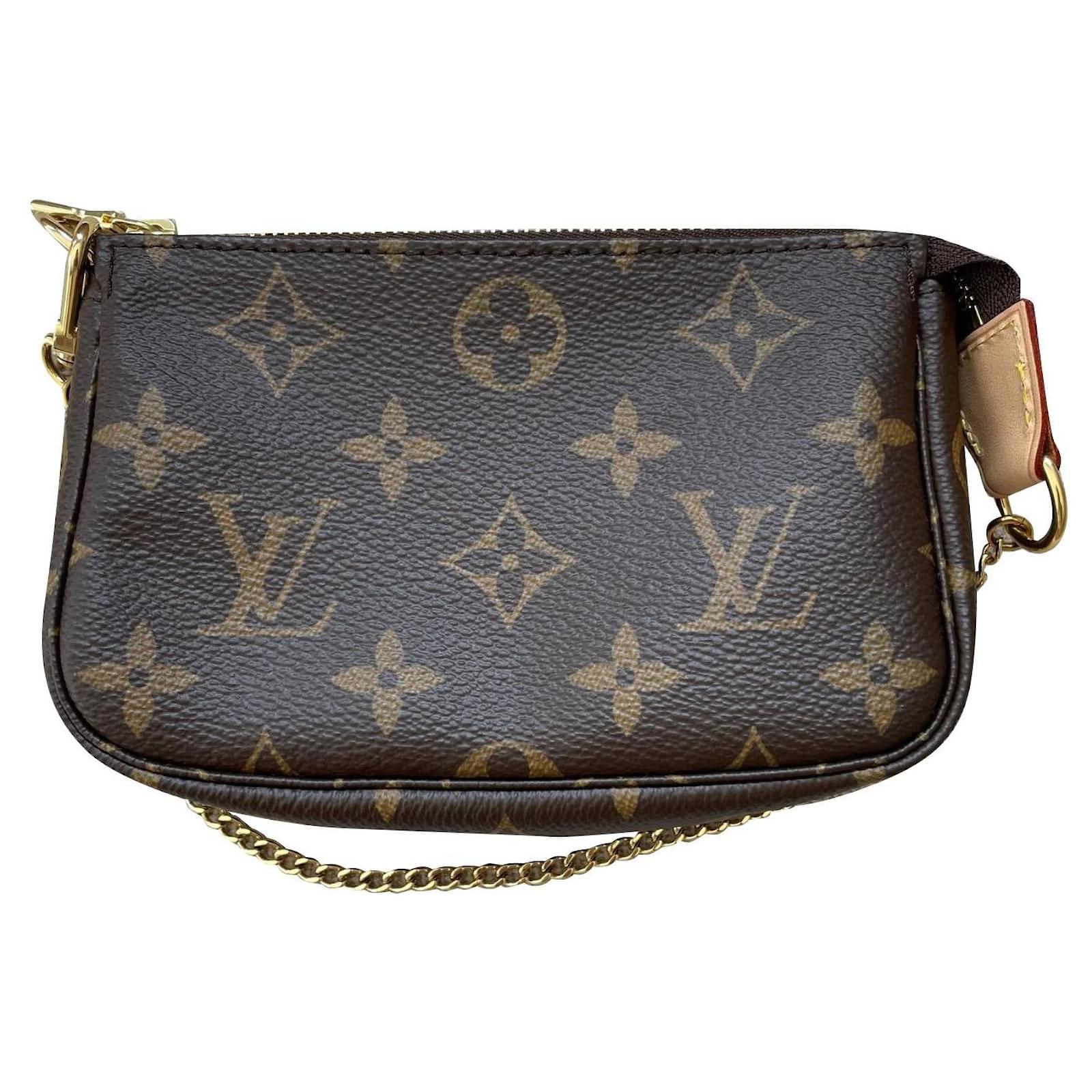 Louis Vuitton Pochette Accessoires Mini Bag - Brown Mini Bags