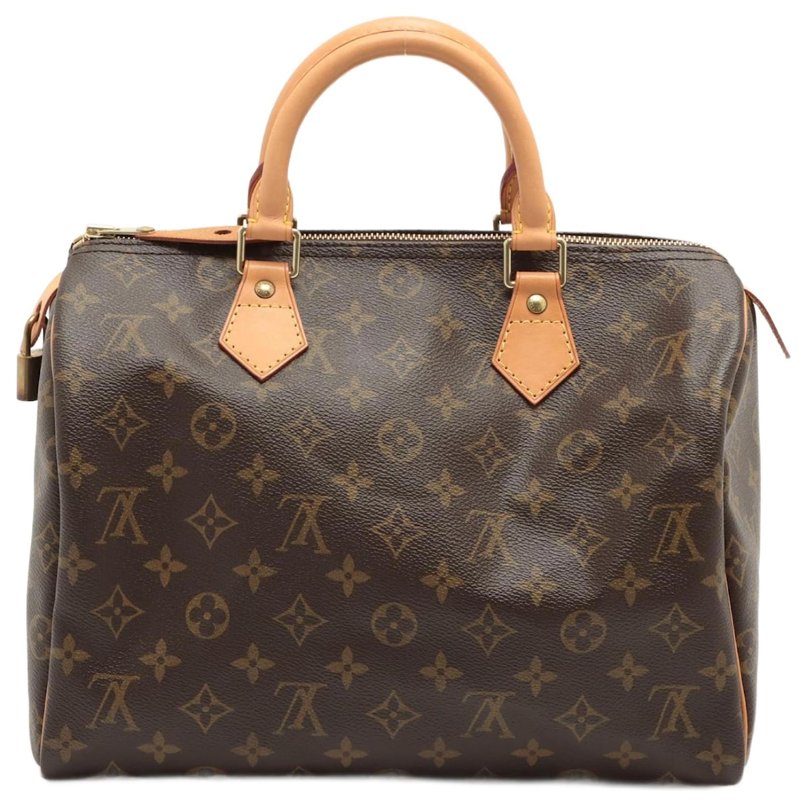 Louis Vuitton Speedy 30 Brown Cloth ref.923650 - Joli Closet