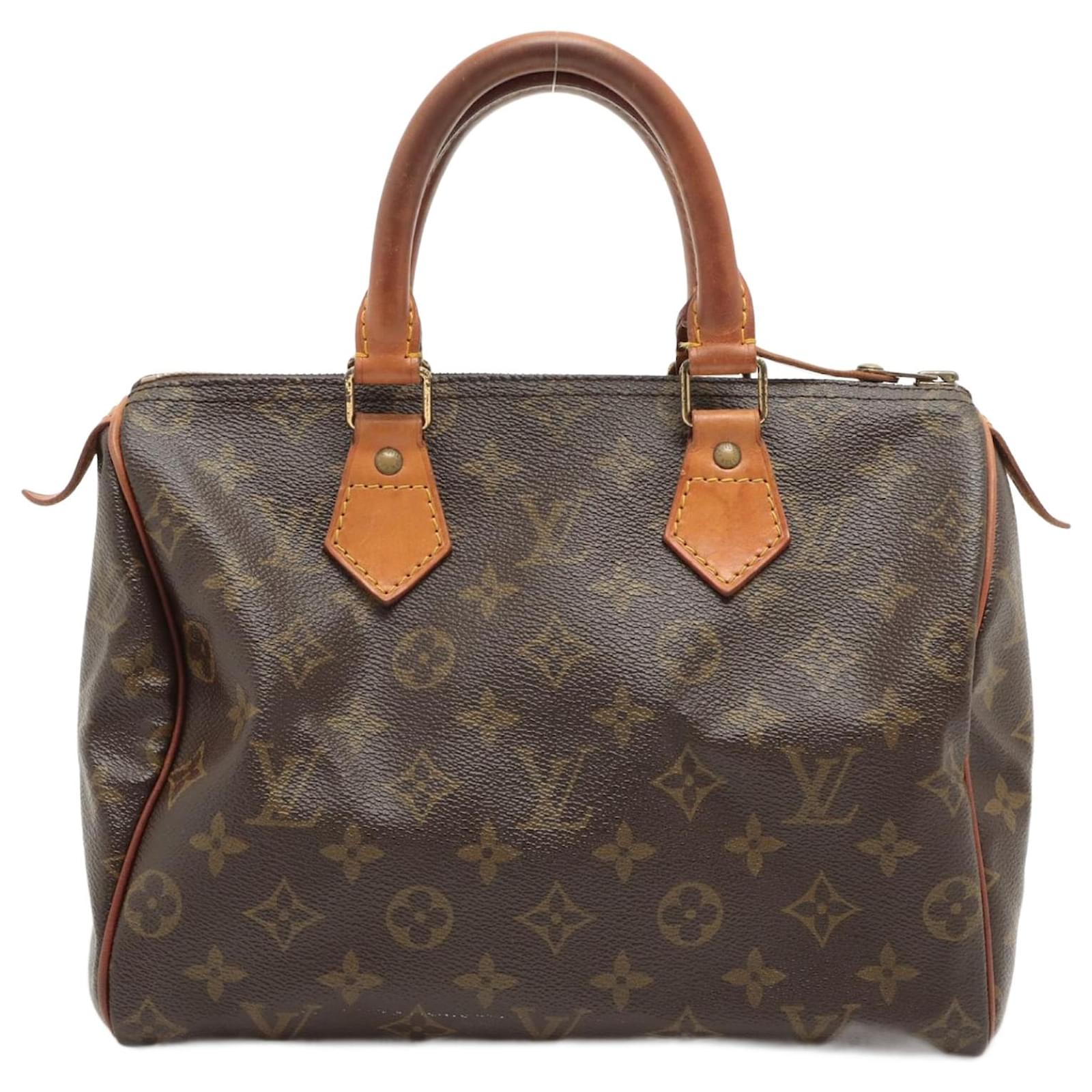 Louis Vuitton Speedy 25 Brown Cloth ref.923763 - Joli Closet