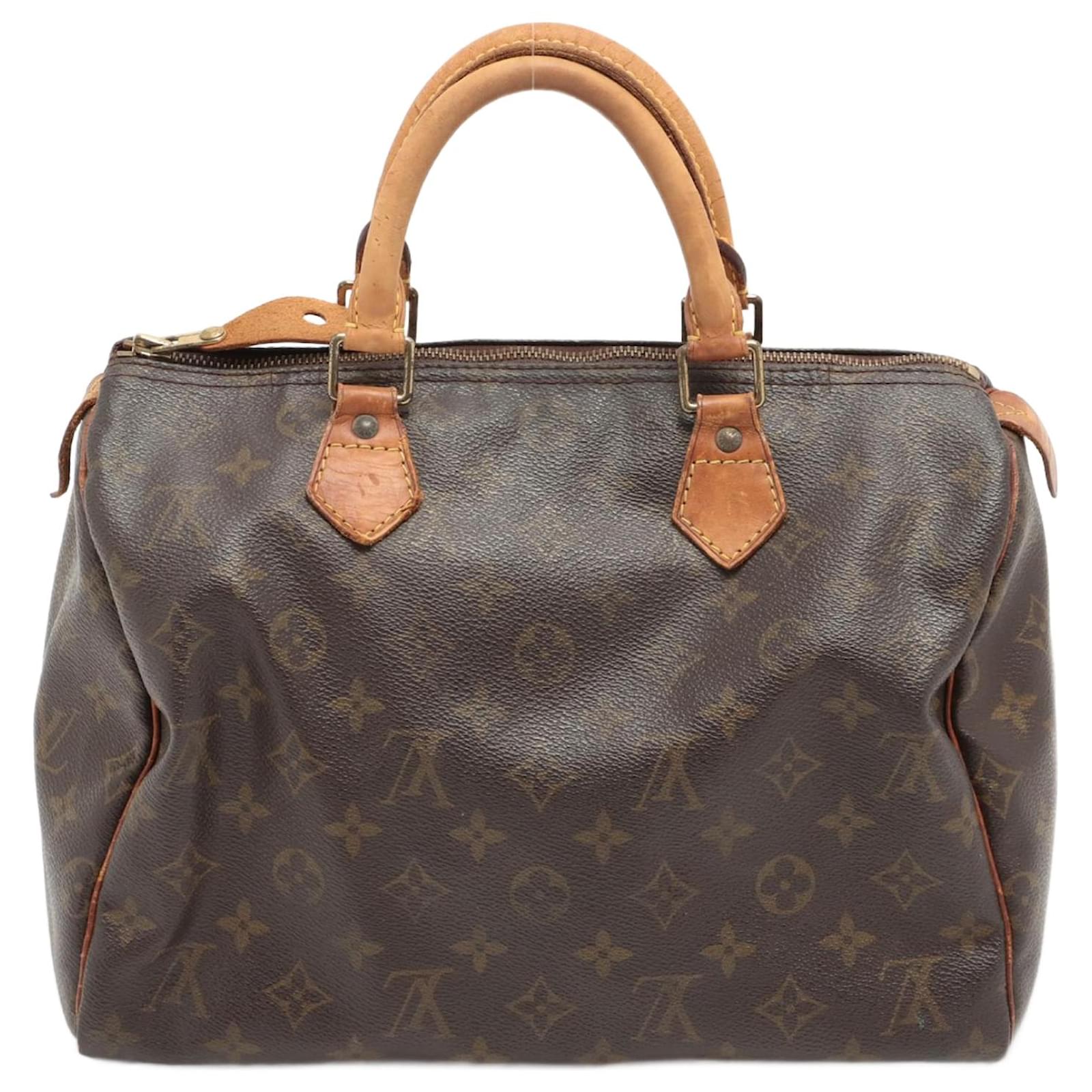 Louis Vuitton Speedy 30 Handbag in 2023  Louis vuitton, Louis vuitton  speedy, Vuitton