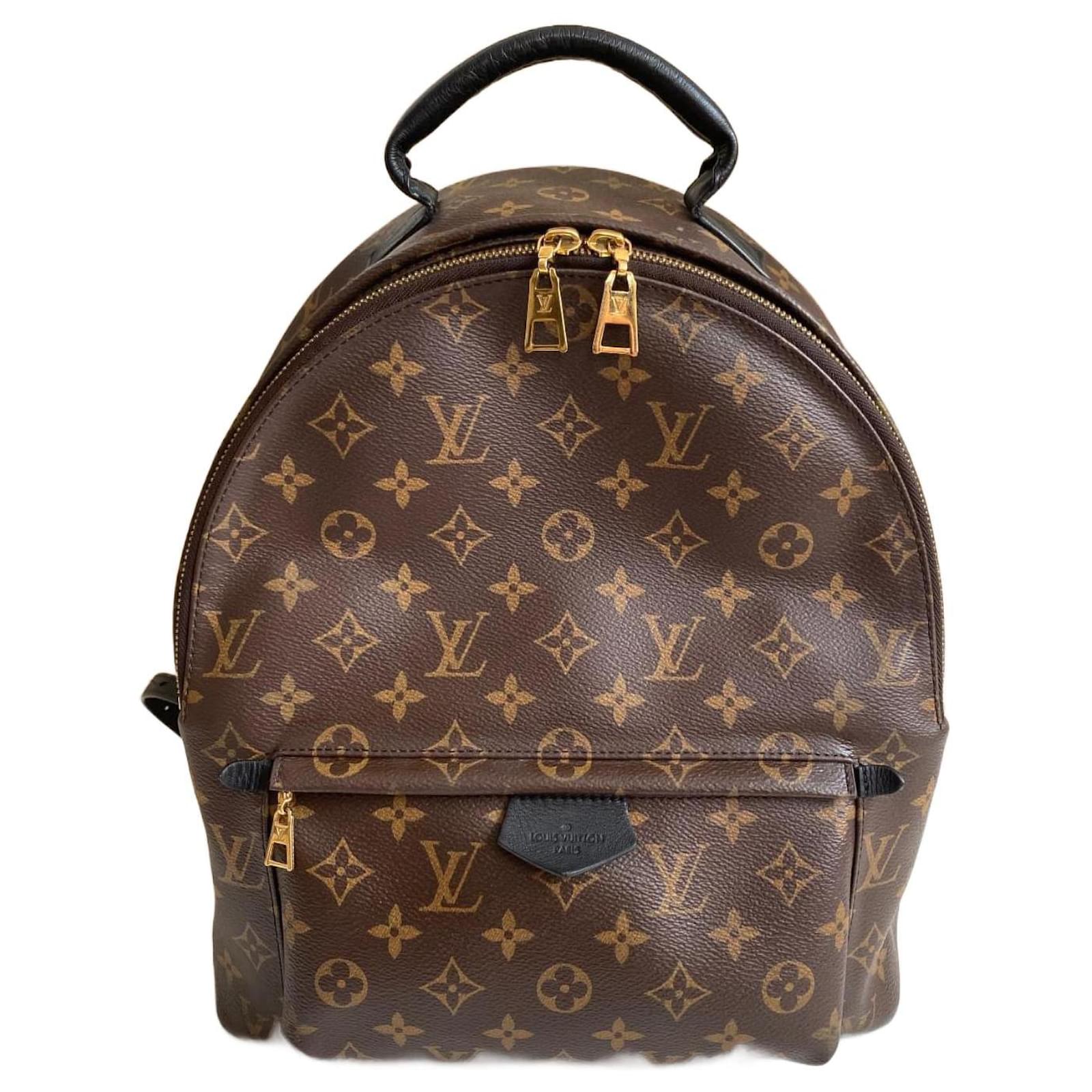 Louis Vuitton Palm Springs MM Backpack Brown Cloth ref.934600