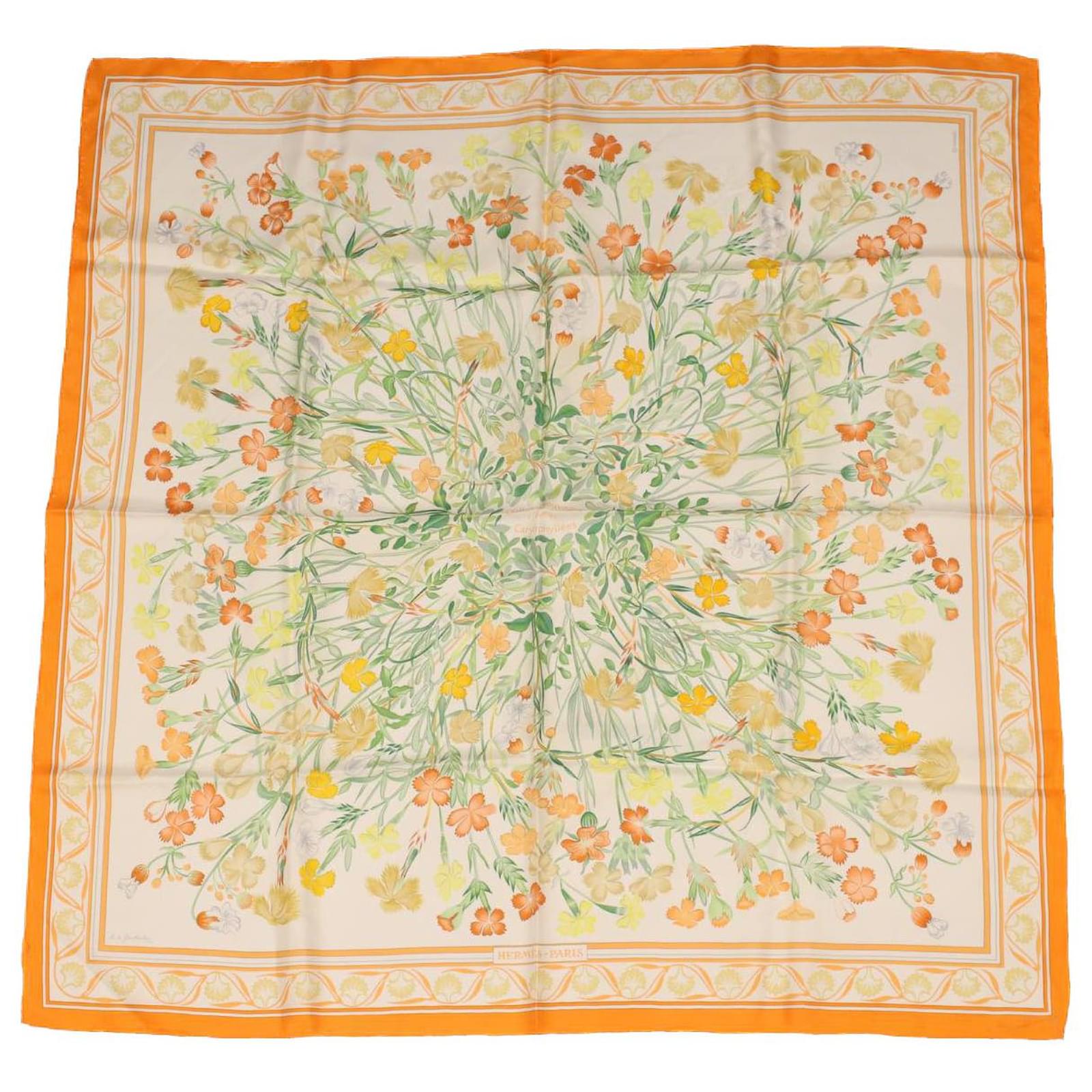 Hermès HERMES CARRE 90 Scarf 