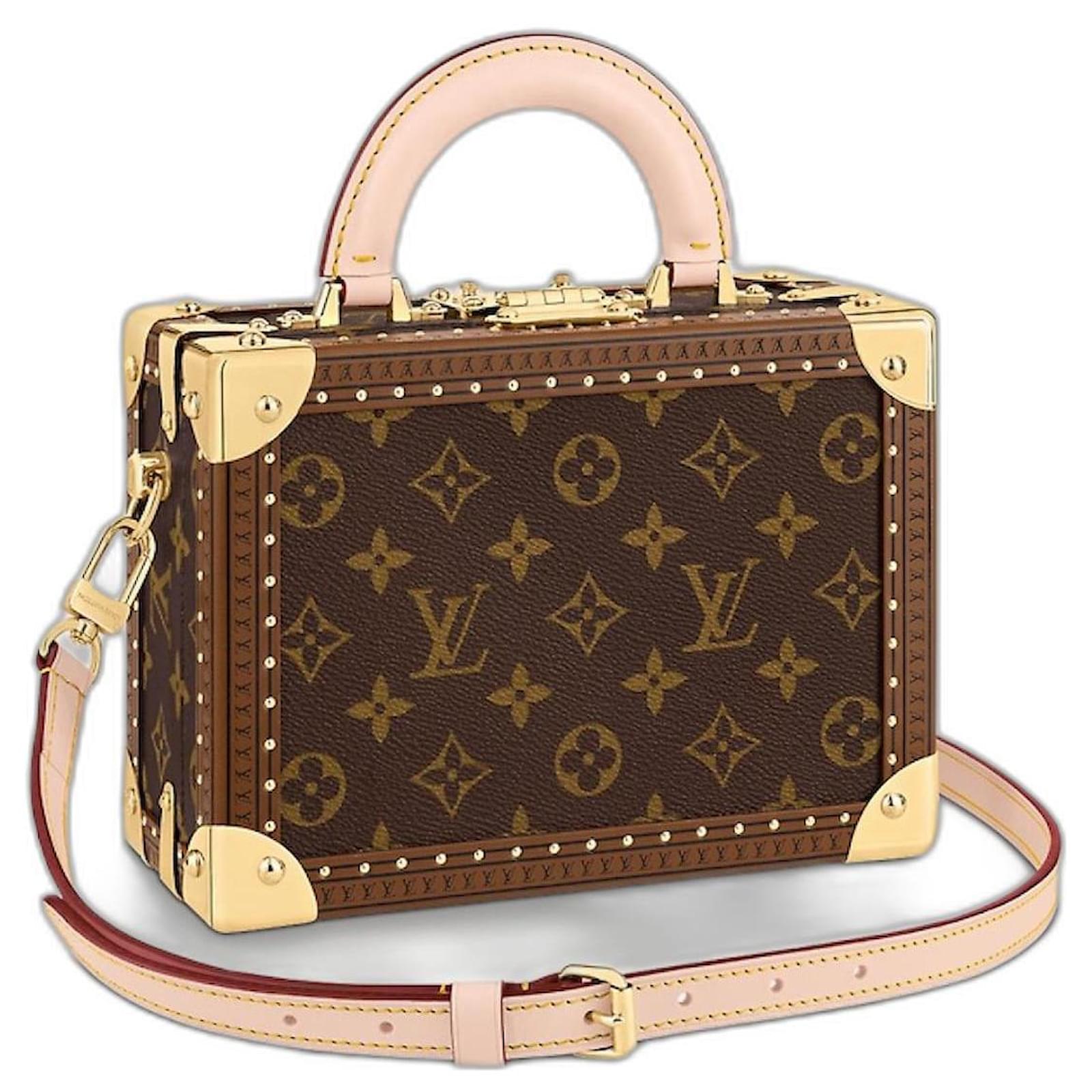 Louis Vuitton lV Petite Valise Brown ref.960653 - Joli Closet