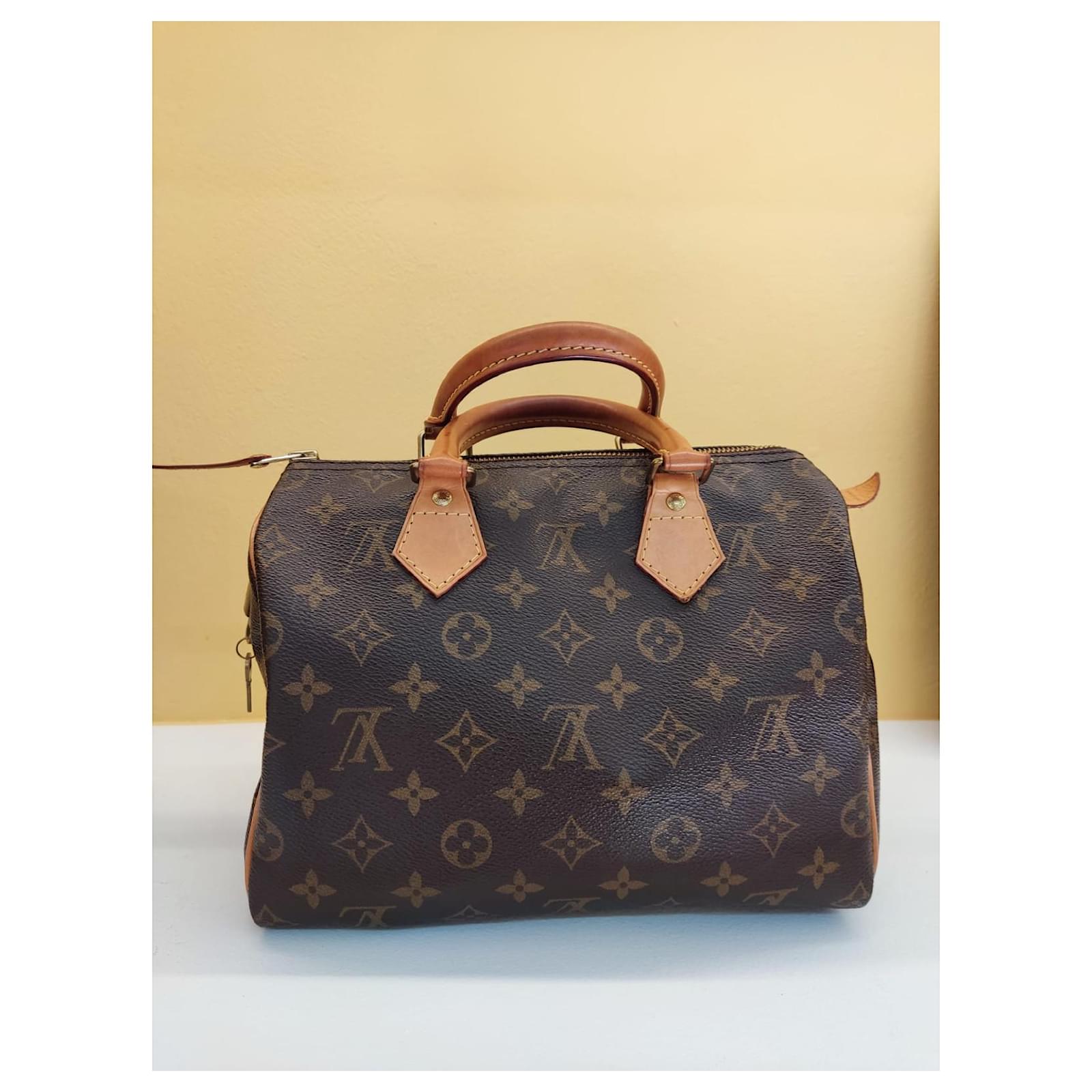 Borsa Speedy 40 usata di Louis Vuitton in Marrone