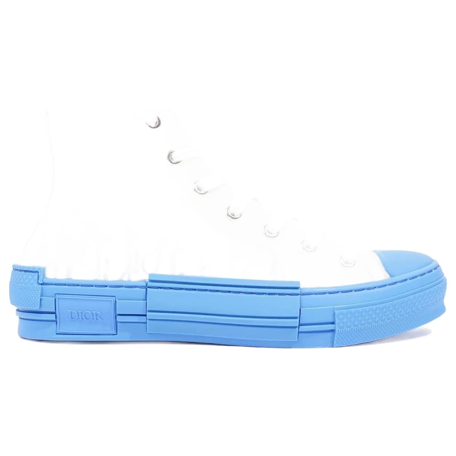 dior b23 grey blue