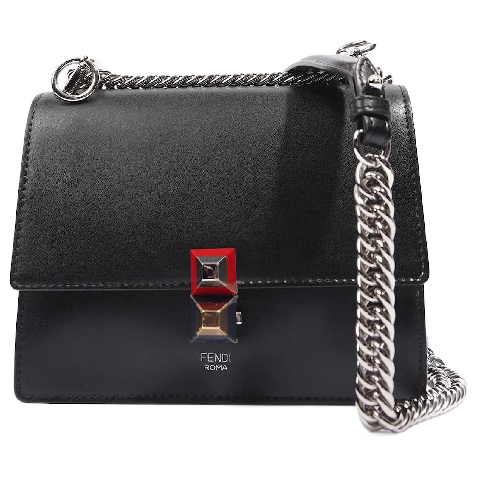 Fendi mini clearance kan i