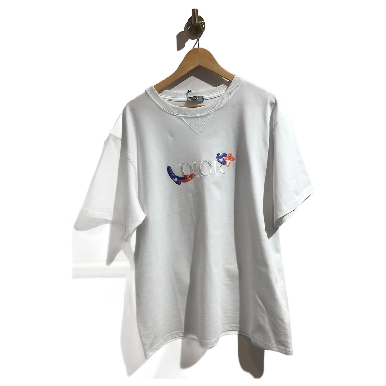 Dior White Mount Zion Graphic Print Cotton Crew Neck T-Shirt L Dior | The  Luxury Closet