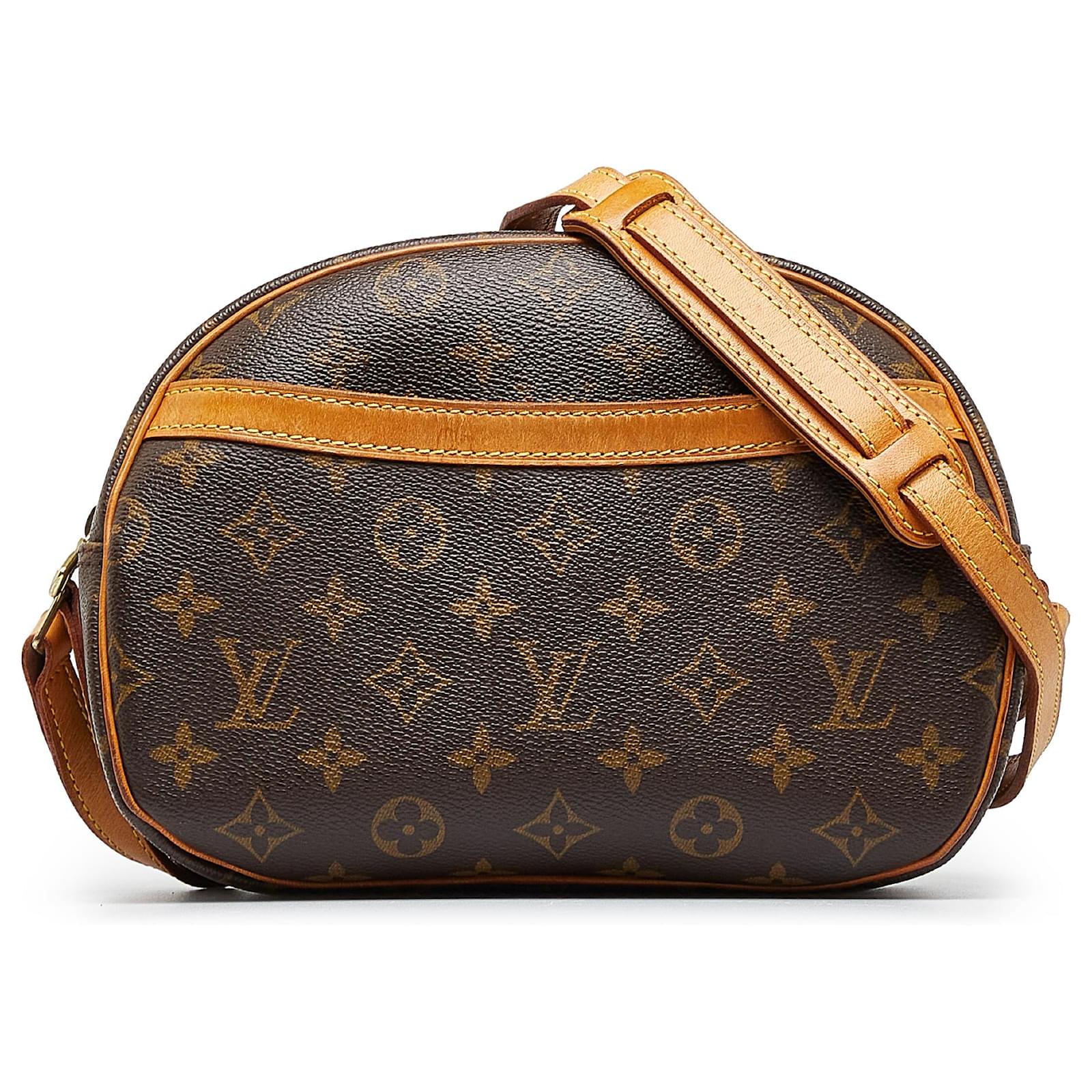 Louis Vuitton Brown Monogram Blois Leather Cloth ref.977311 - Joli