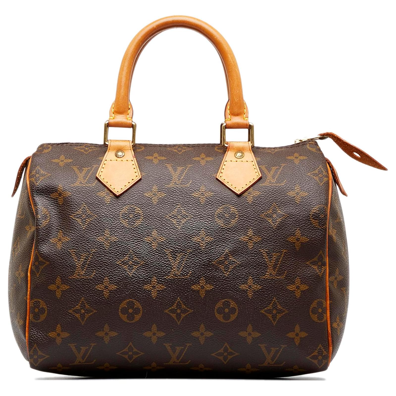 Louis Vuitton Speedy 25 Brown Monogram