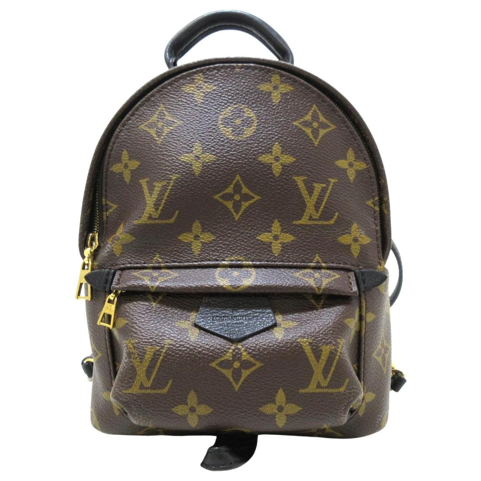 Louis Vuitton Monogram Palm Springs PM Rucksack Backpack M44871