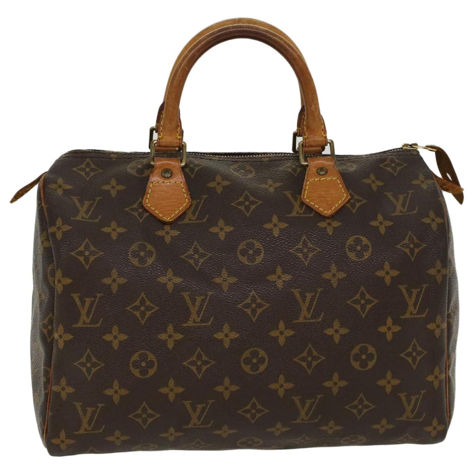 Louis Vuitton, Bags, Auth Louis Vuitton Painted Speedy 3 Bag