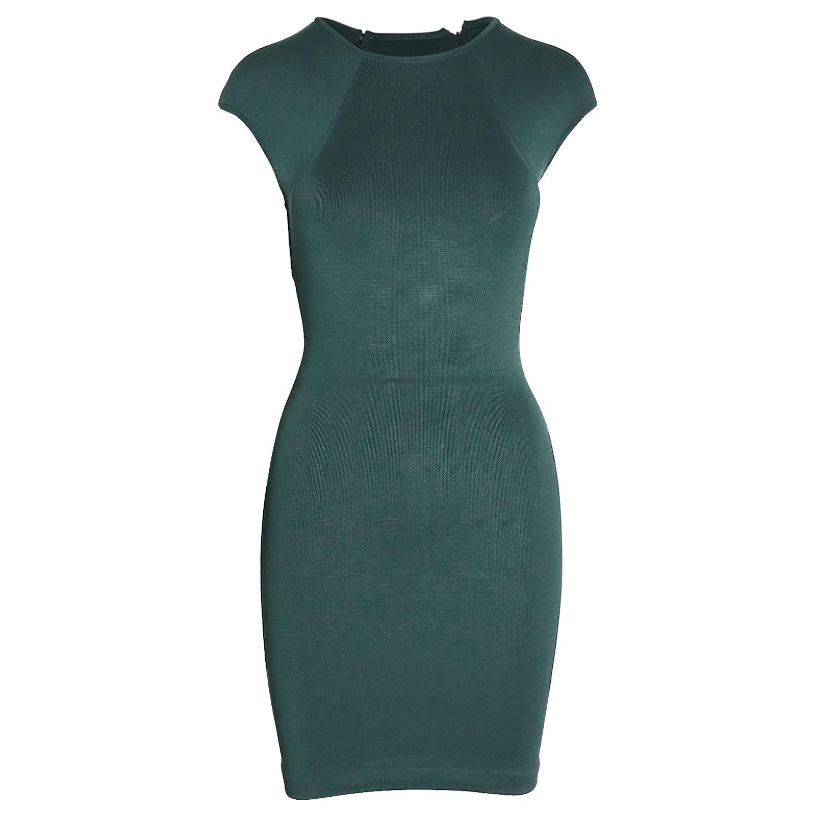 green emerald velvet dress Alexander Wang