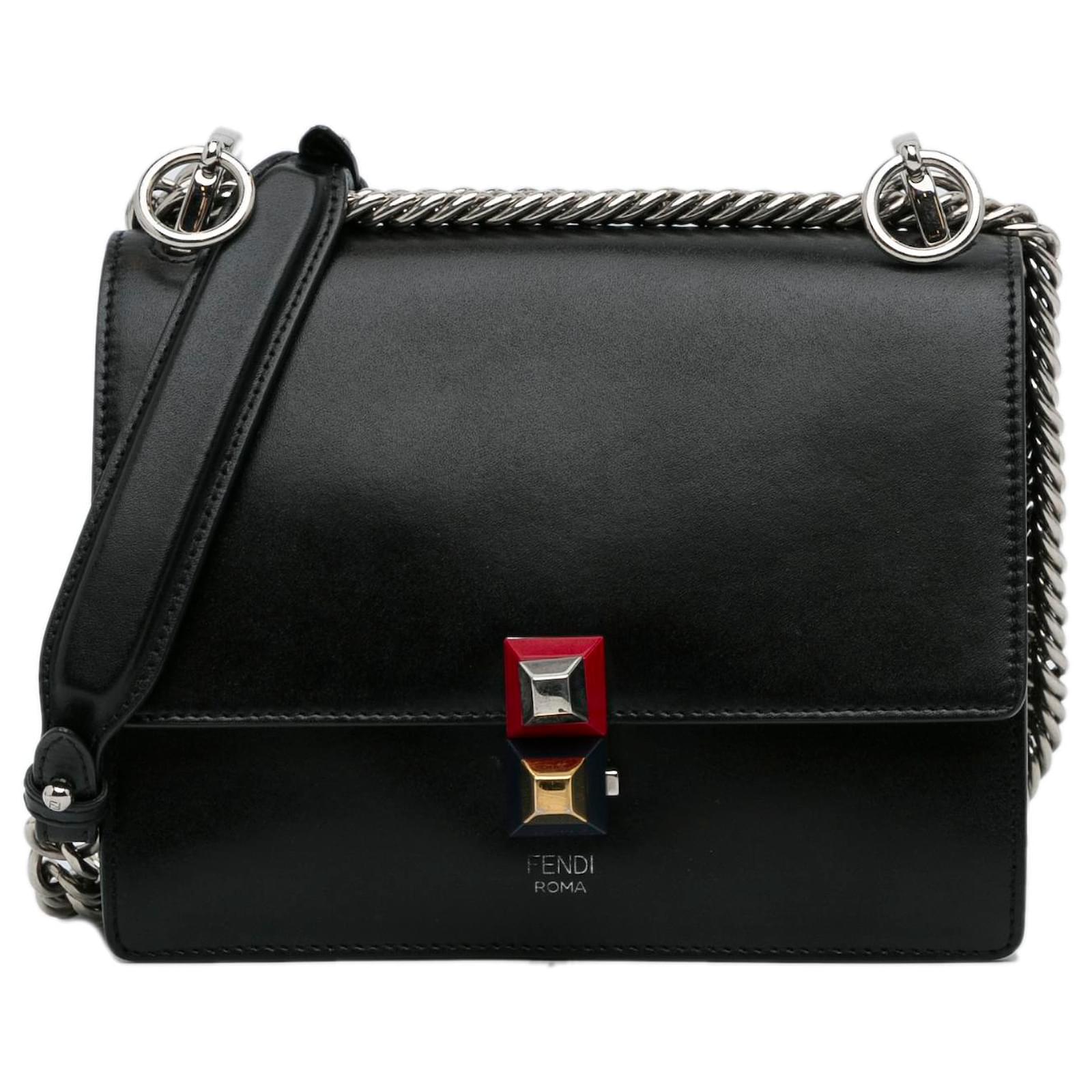 Fendi kan i bag small online