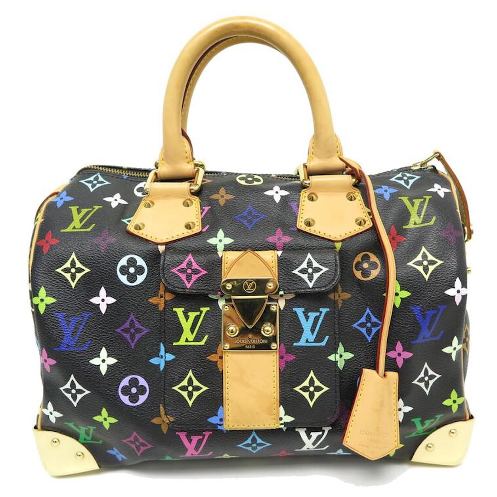 Louis Vuitton Womens Speedy Handbag Murakami Monogram