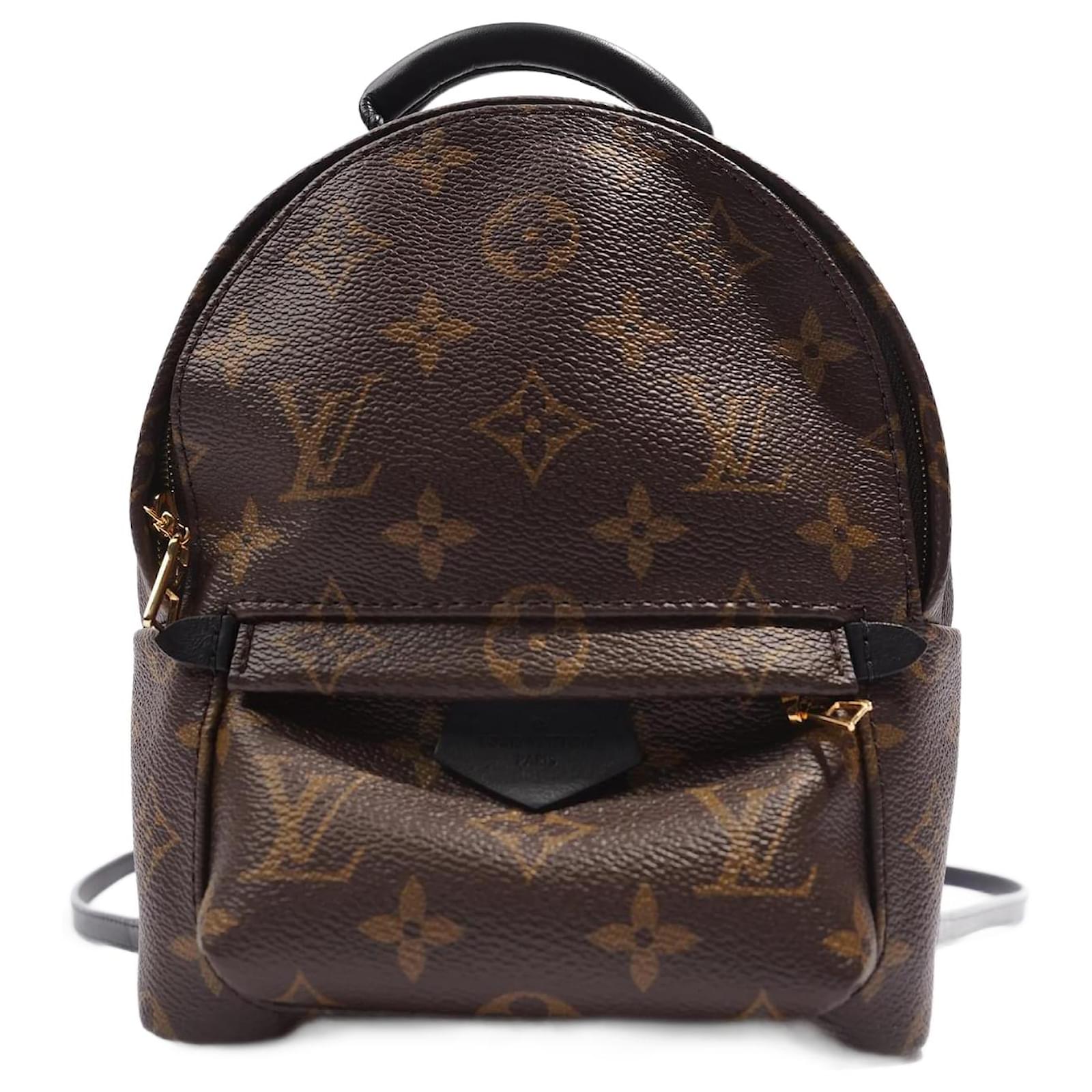 Louis Vuitton Backpack Palm Springs mini Dark brown Leather ref