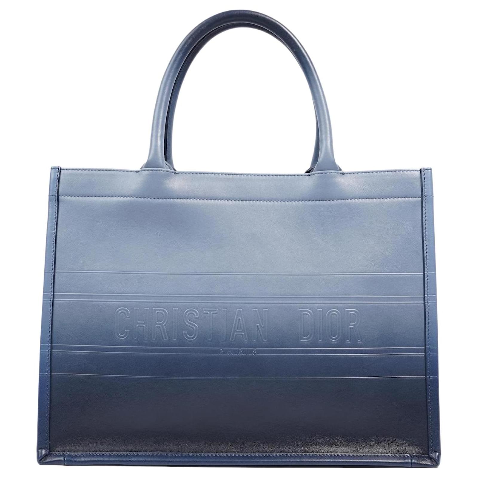 Christian Dior Book Tote Ombre Blue Leather Blue Leather