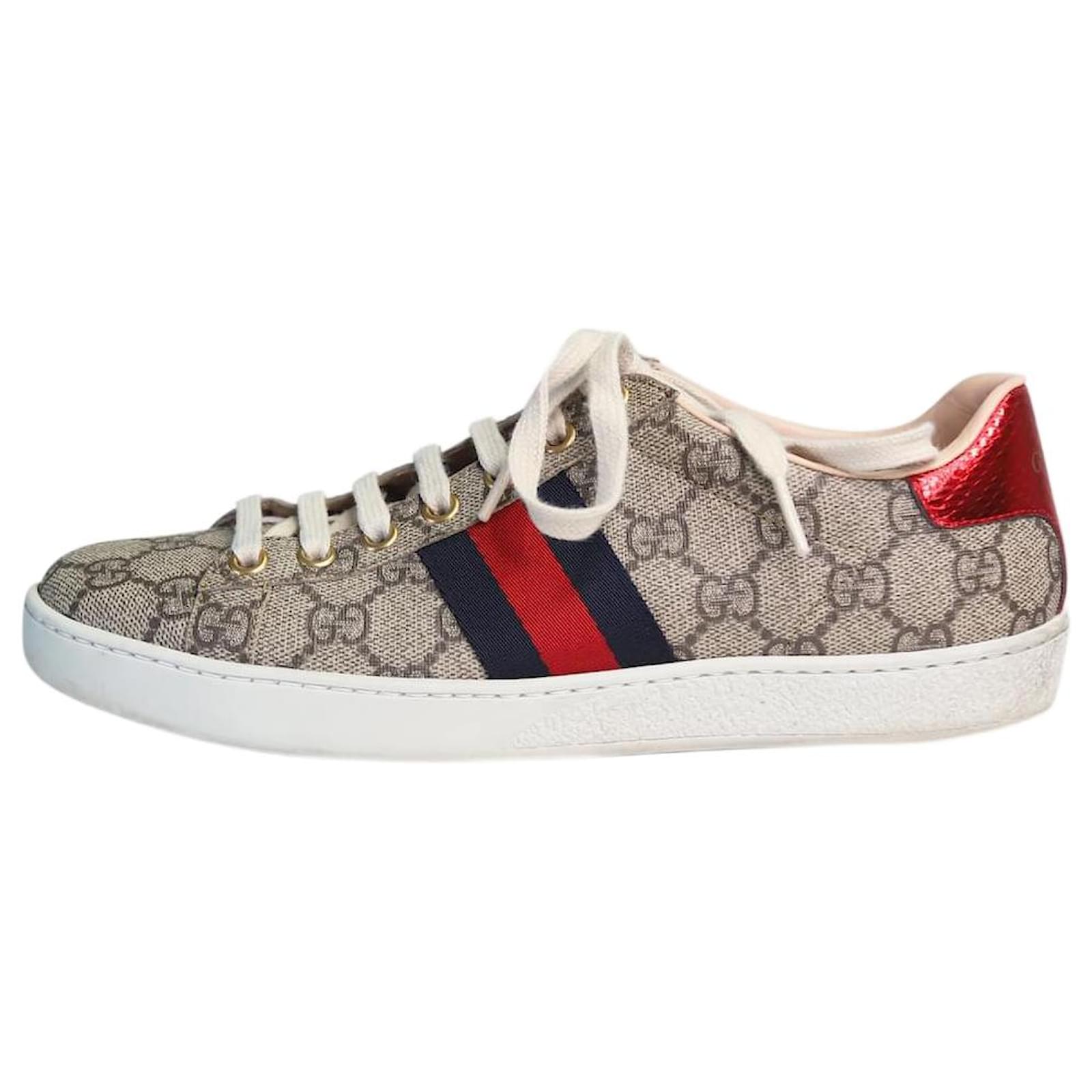 Lacci scarpe gucci best sale