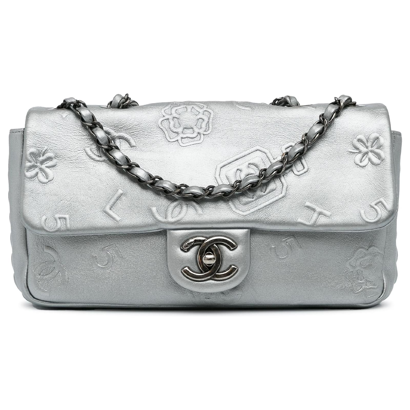 Chanel Silver Lucky Charms Embroidered Classic Single Flap Shoulder Bag  Silvery Leather ref.1065694 - Joli Closet