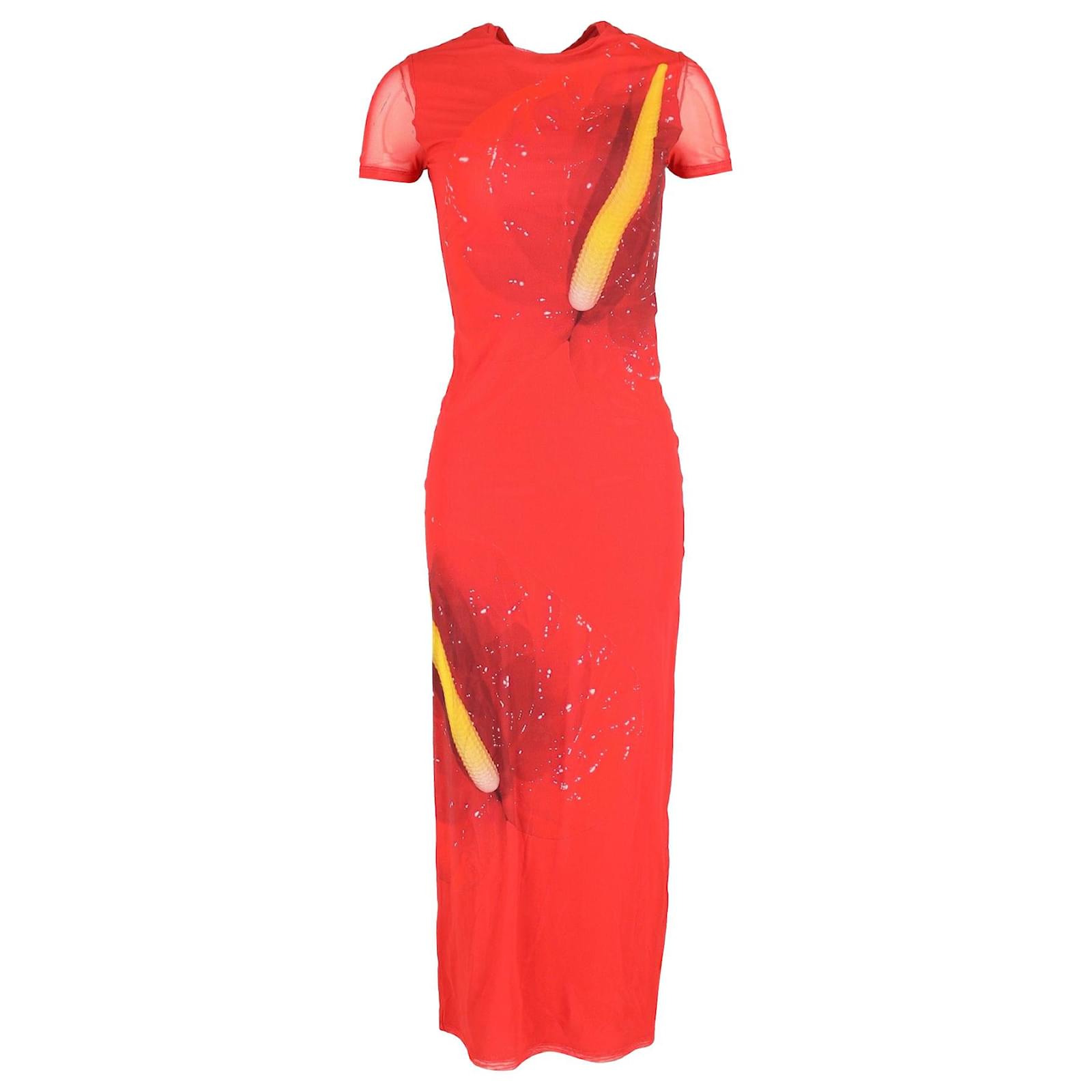 Loewe Anthurium Print Maxi Dress in Red Silk ref.1083248 - Joli Closet