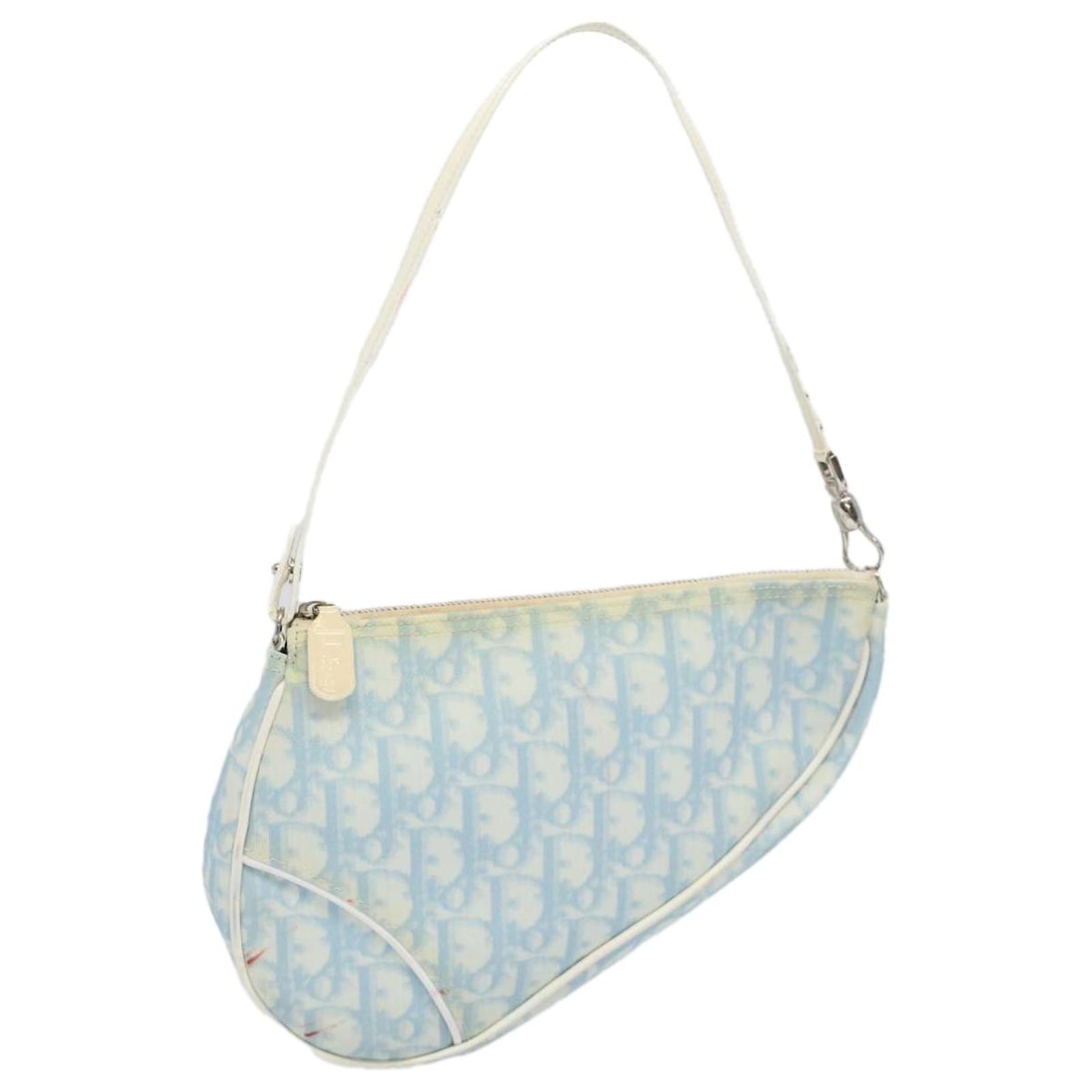 Dior saddle bag hot sale light blue