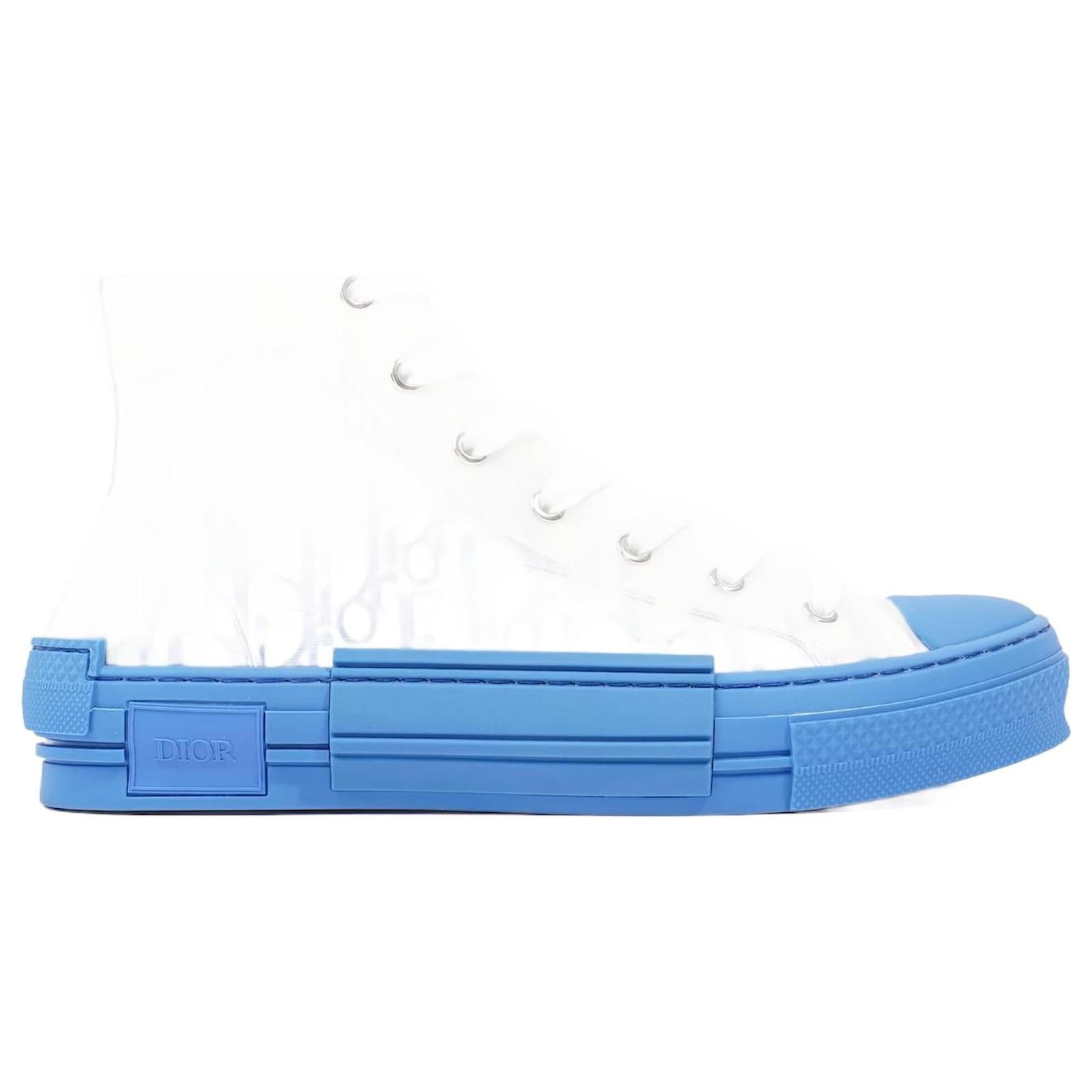 dior b23 grey blue