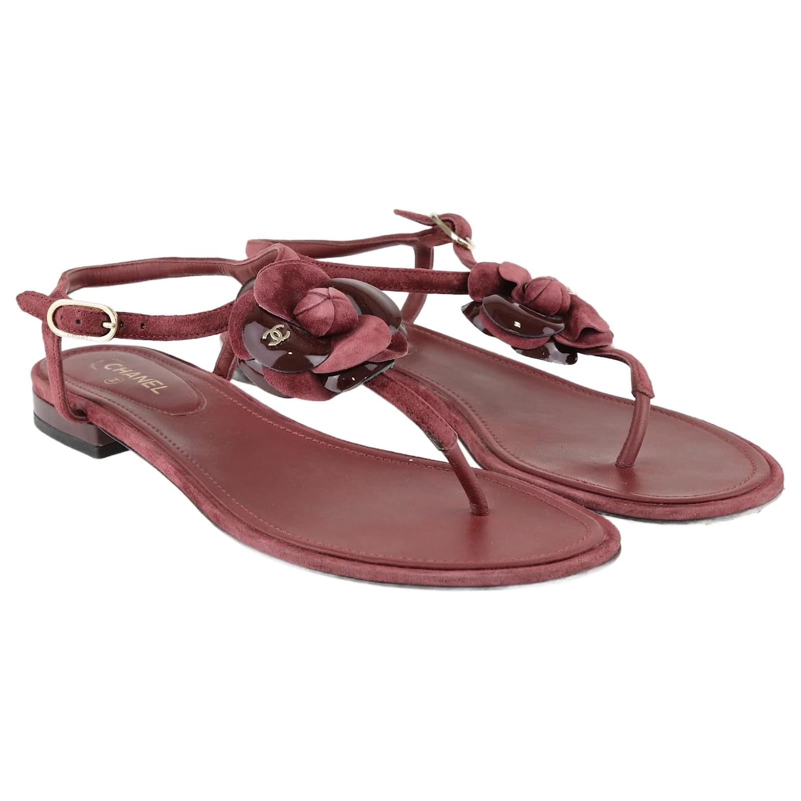 PIPILIKA® Trendy Fashionable Women Sandal (FLATS 602) (Maroon & Black) |  HOME DECOR, BAGS, FOOTWEAR - AR Bazaar