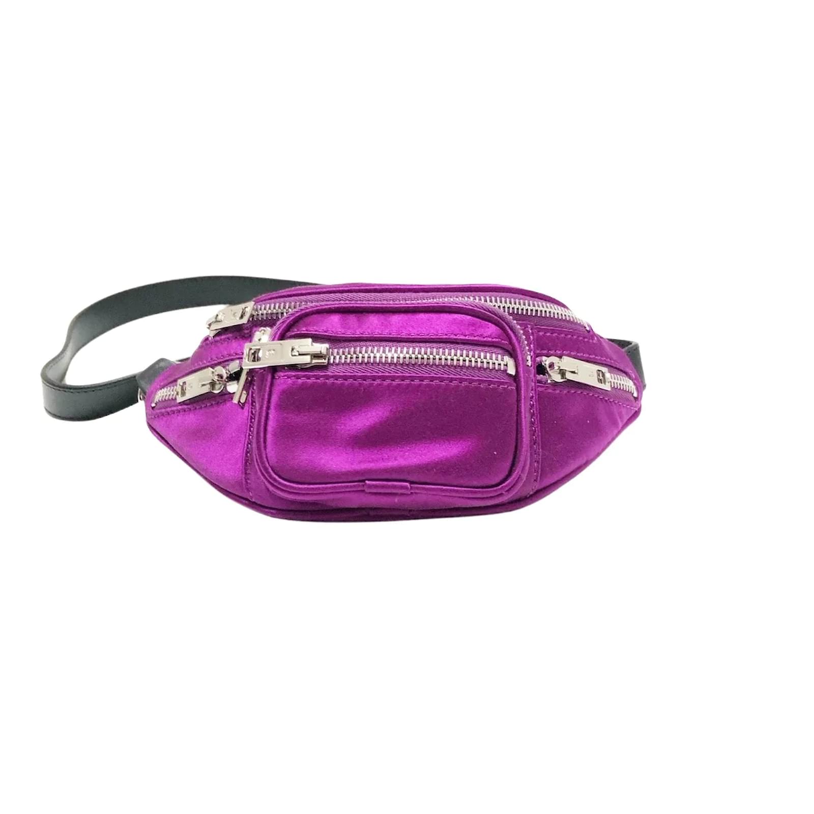 Alexander wang hotsell mini fanny