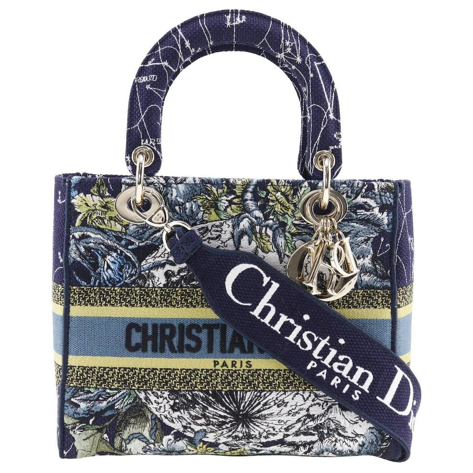 Dior Lady Dior Multiple colors Cloth ref.1294878 - Joli Closet