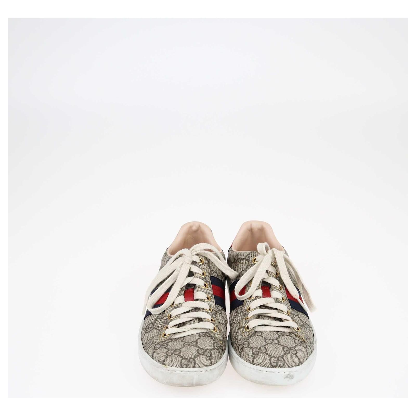 Gucci ace beige hotsell