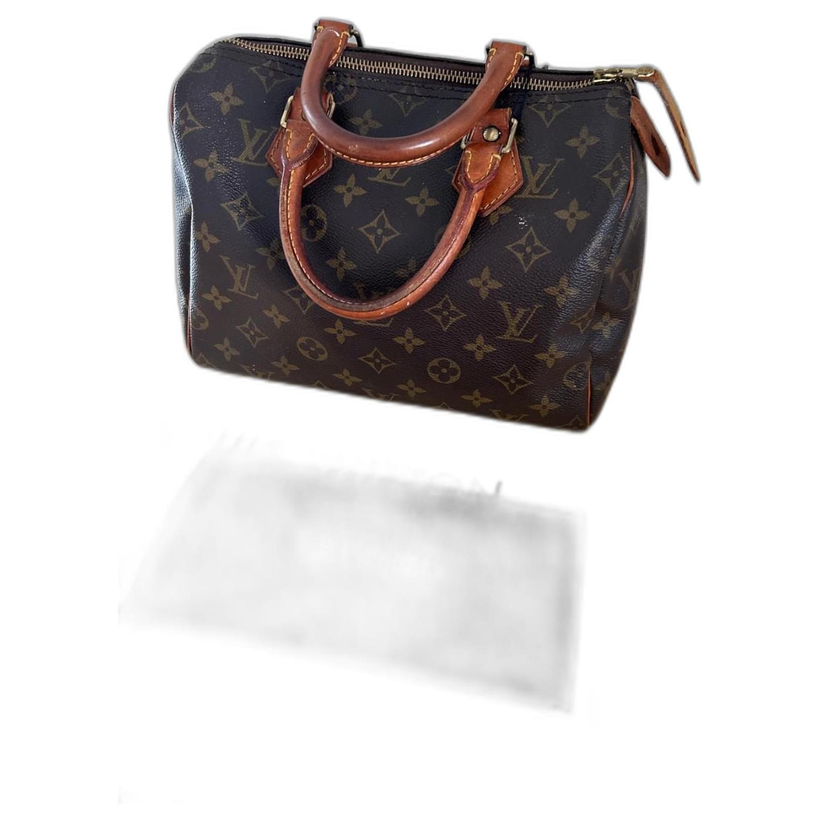 Louis Vuitton Speedy Taschen Rechnung Louis Vuitton Speedy 25 Mit