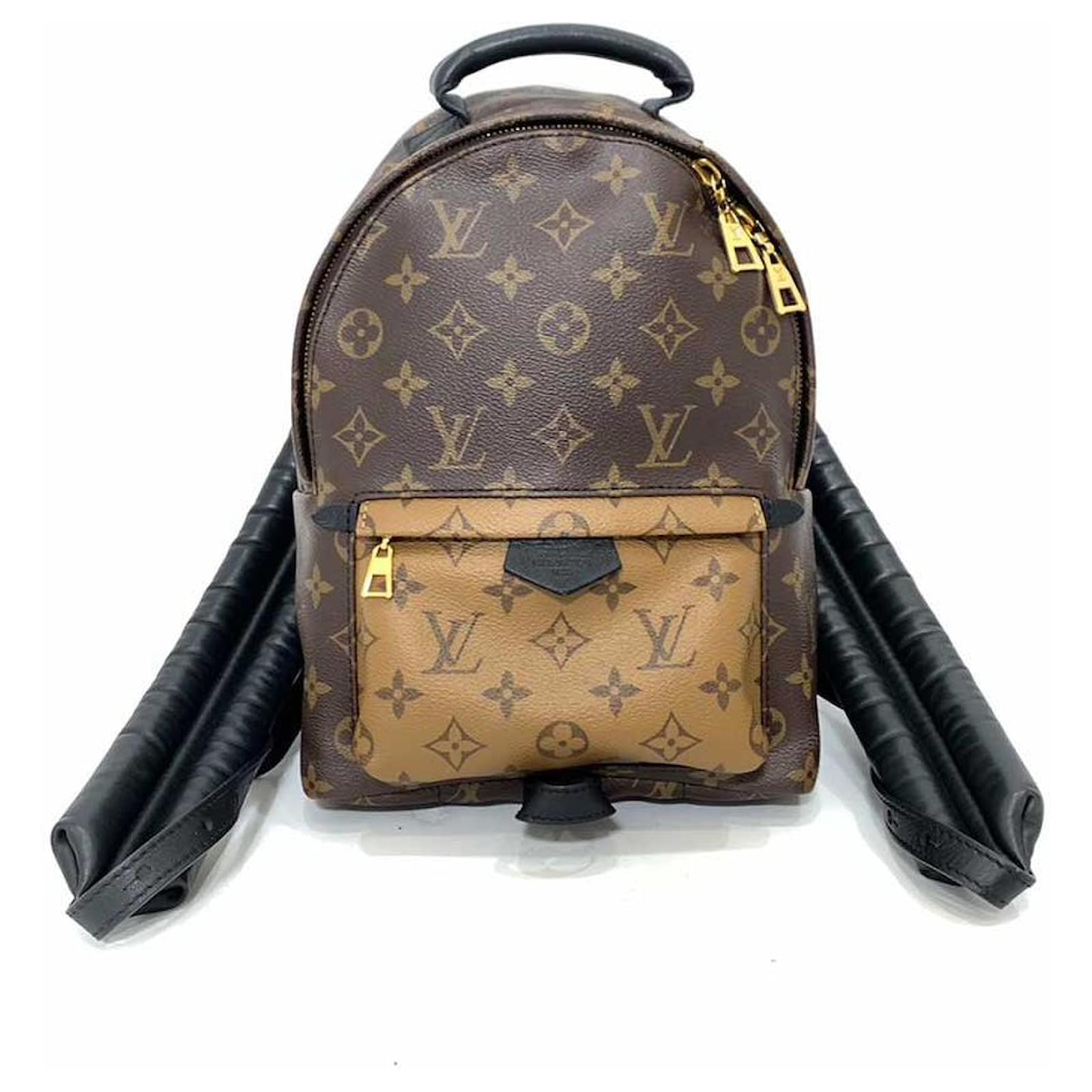 Autre Marque Louis Vuitton Palm Springs Backpack PM Brown Black PVC Leather  M43116 in Very Good Condition ref.1484442 - Joli Closet