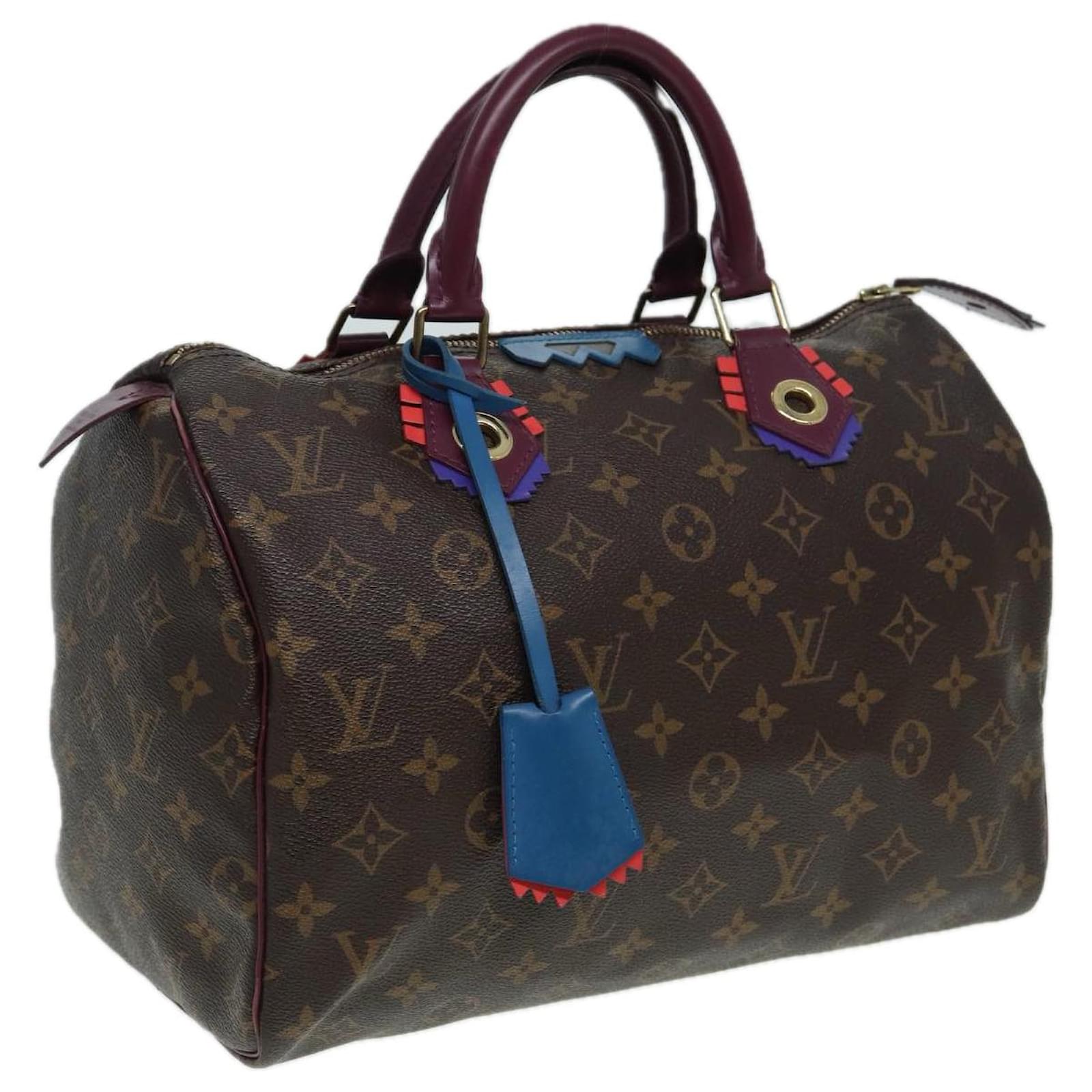 Louis Vuitton Monogram Speedy 30 fashion